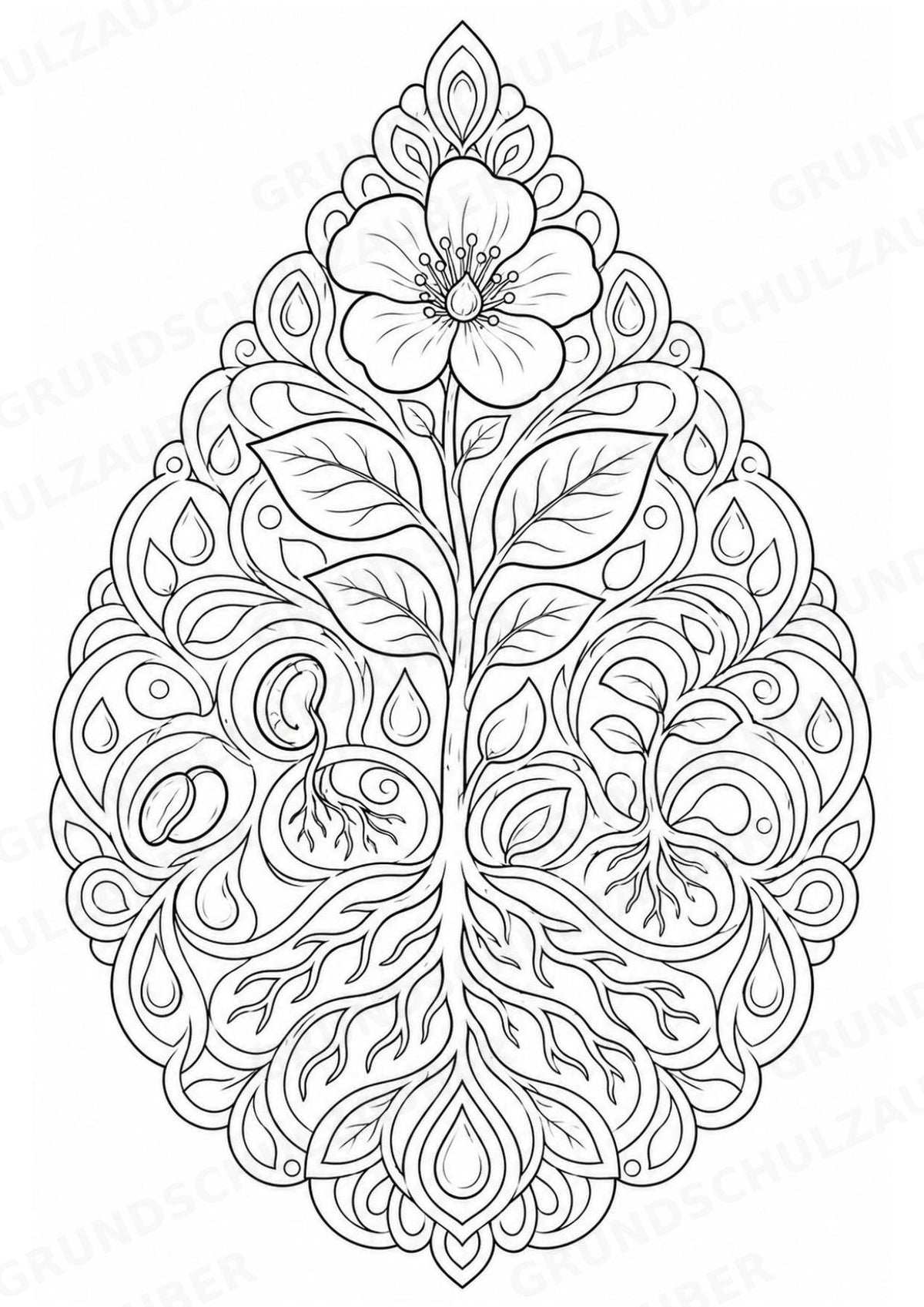 Biologie Mandalas Ausmalbilder – Bio – 15 Malvorlagen – Materialseite 6