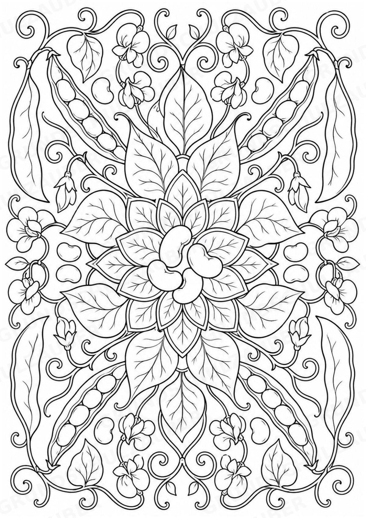Bohnen Mandalas Ausmalbilder – Gemüse – 15 Malvorlagen – Materialseite 16