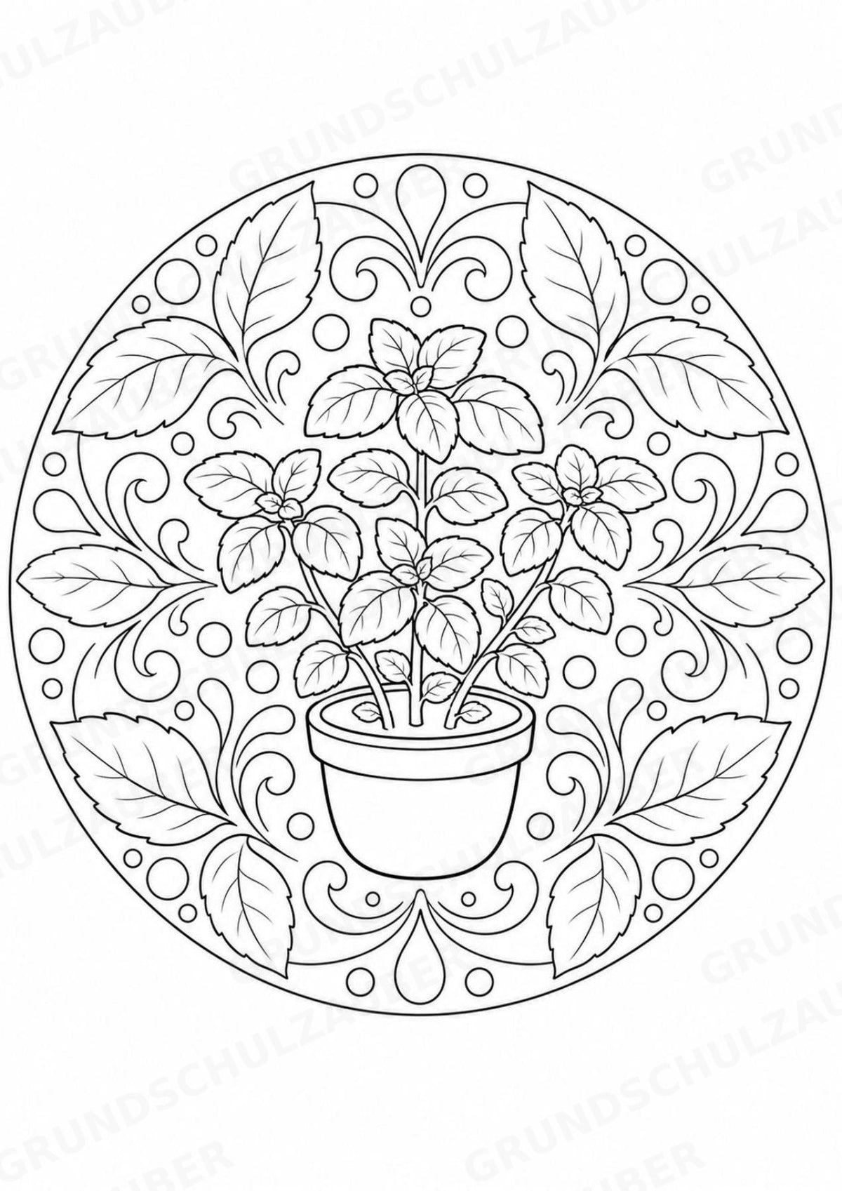 Pflanzen Mandalas Ausmalbilder – Natur und Pflanzen – 15 Malvorlagen – Materialseite 14