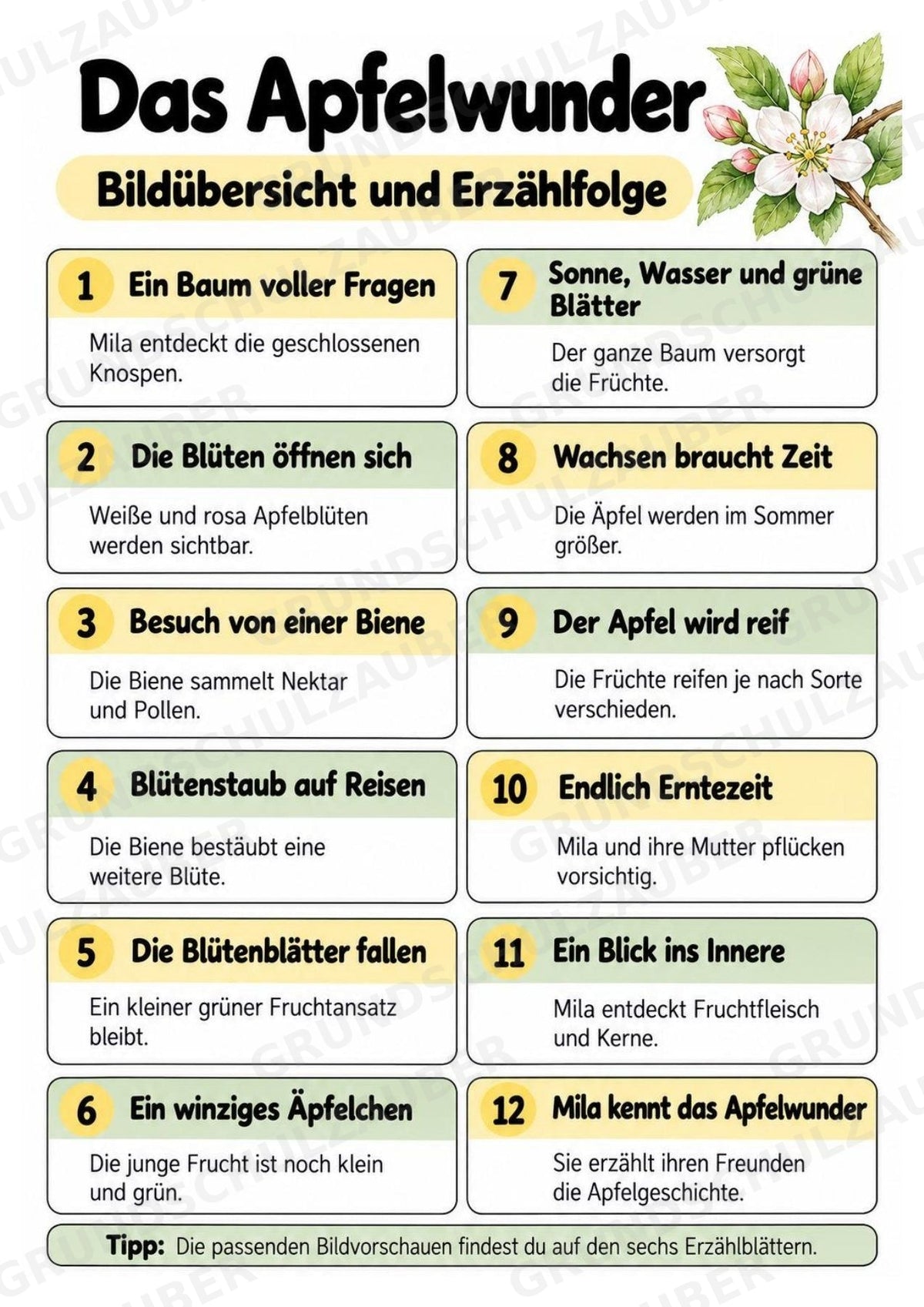 Das Apfelwunder: Kamishibai Apfel für Vorschule & Klasse 1/2 – Materialseite 3