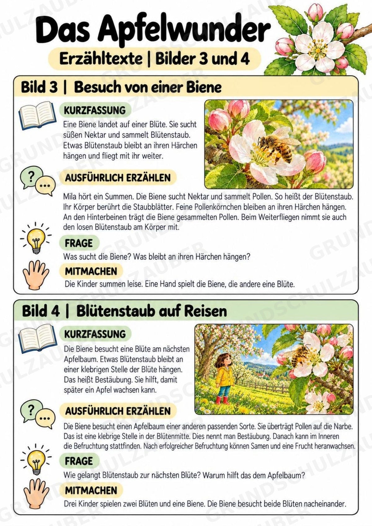 Das Apfelwunder: Kamishibai Apfel für Vorschule & Klasse 1/2 – Materialseite 17