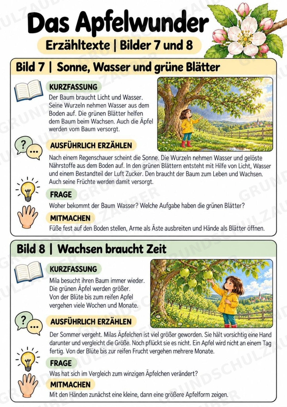 Das Apfelwunder: Kamishibai Apfel für Vorschule & Klasse 1/2 – Materialseite 19