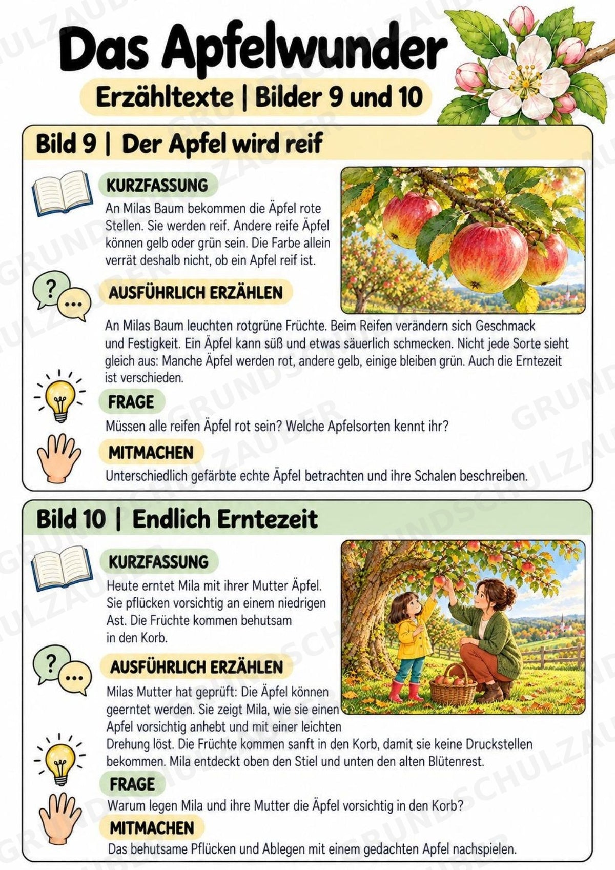 Das Apfelwunder: Kamishibai Apfel für Vorschule & Klasse 1/2 – Materialseite 20