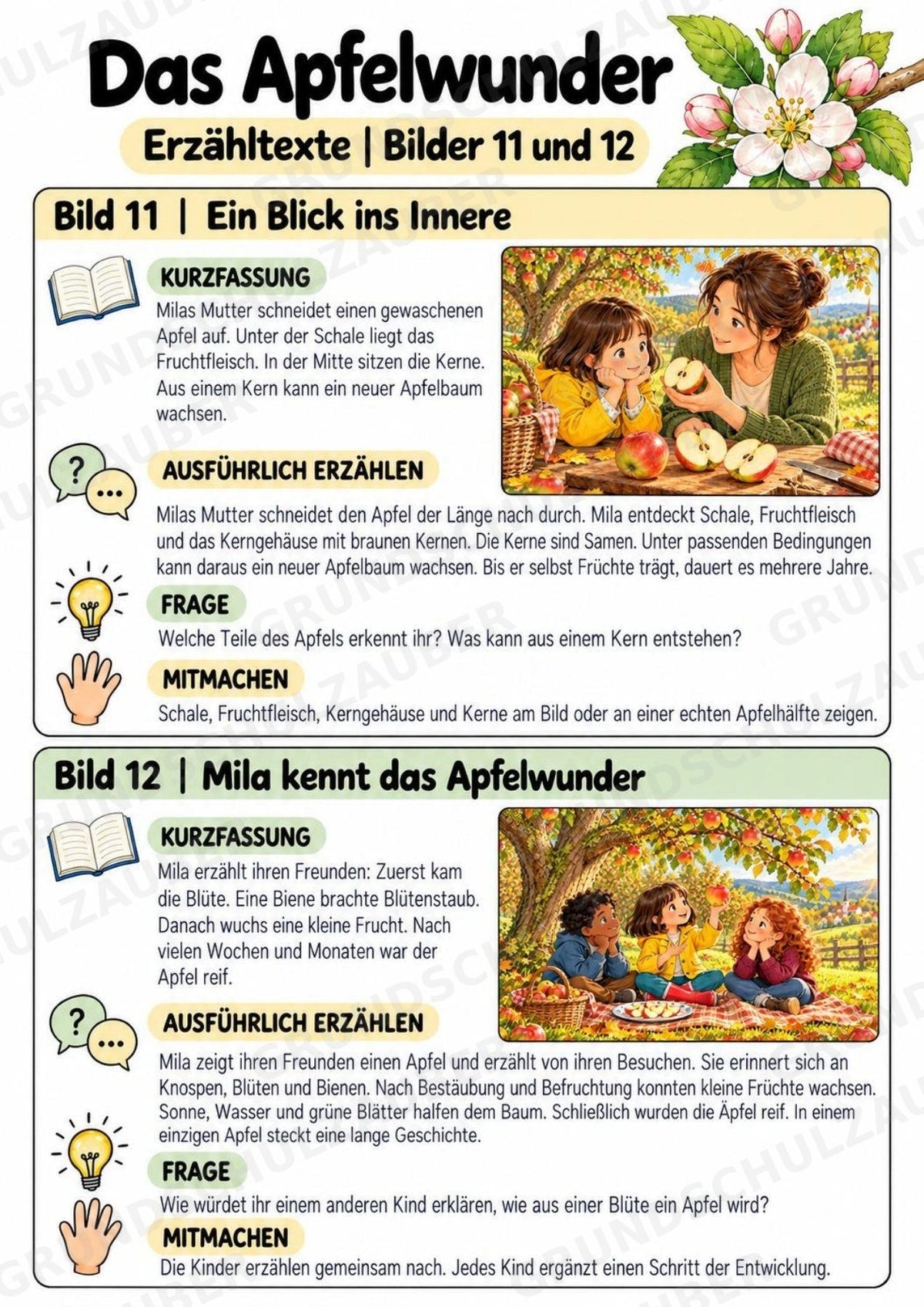 Das Apfelwunder: Kamishibai Apfel für Vorschule & Klasse 1/2 – Materialseite 21