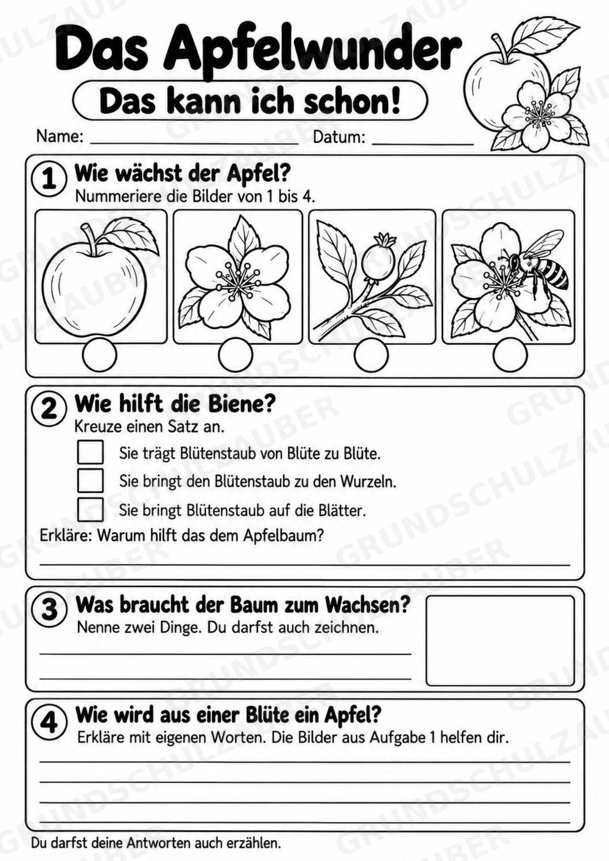 Das Apfelwunder: Kamishibai Apfel für Vorschule & Klasse 1/2 – Materialseite 22