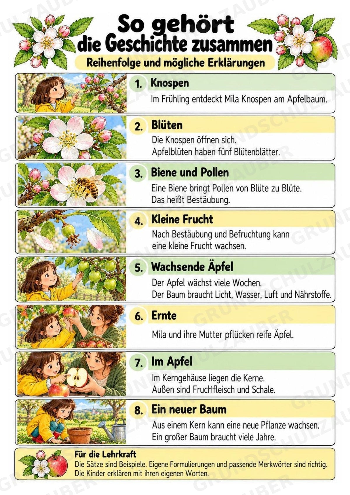 Apfeltheater basteln: Mini-Kamishibai Apfel für Klasse 1/2 | Kamishibai – Materialseite 15