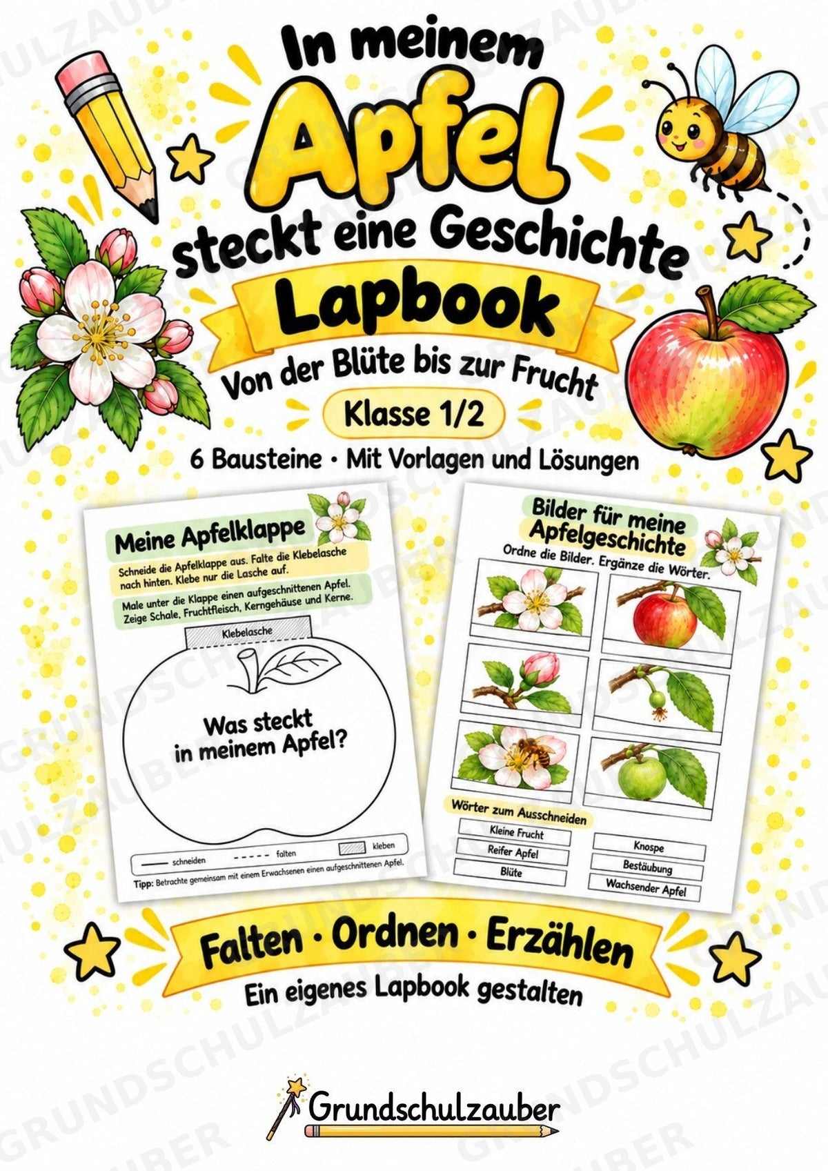 Apfel Lapbook für Klasse 1/2 – Von der Blüte zur Frucht | Kamishibai – Cover