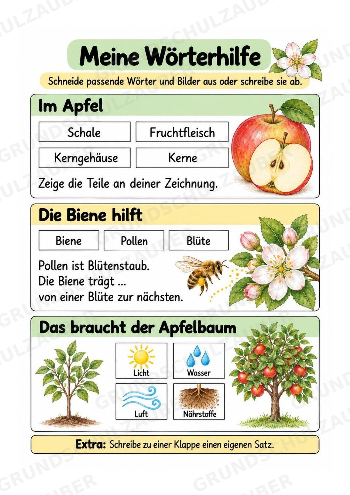 Apfel Lapbook für Klasse 1/2 – Von der Blüte zur Frucht | Kamishibai – Materialseite 9