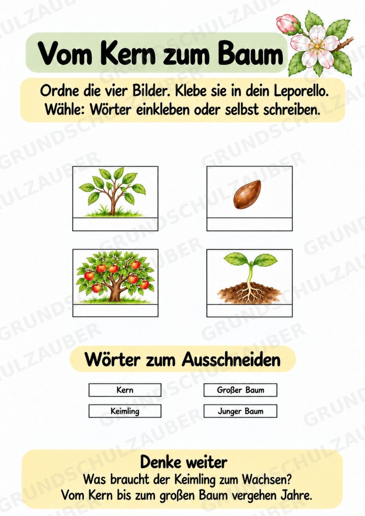 Apfel Lapbook für Klasse 1/2 – Von der Blüte zur Frucht | Kamishibai – Materialseite 11