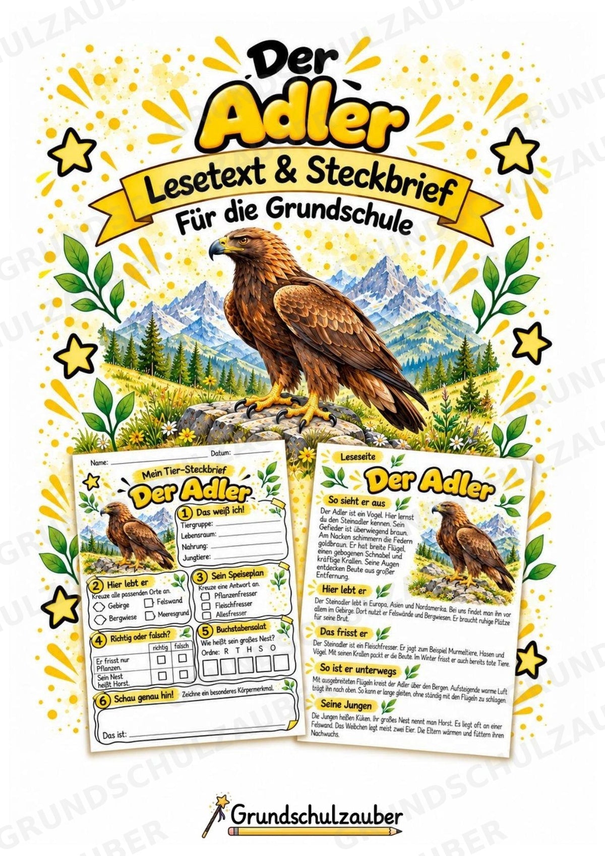 Der Adler – Lesetext & Steckbrief | Sachunterricht Tiere & Vögel Grundschule – Cover