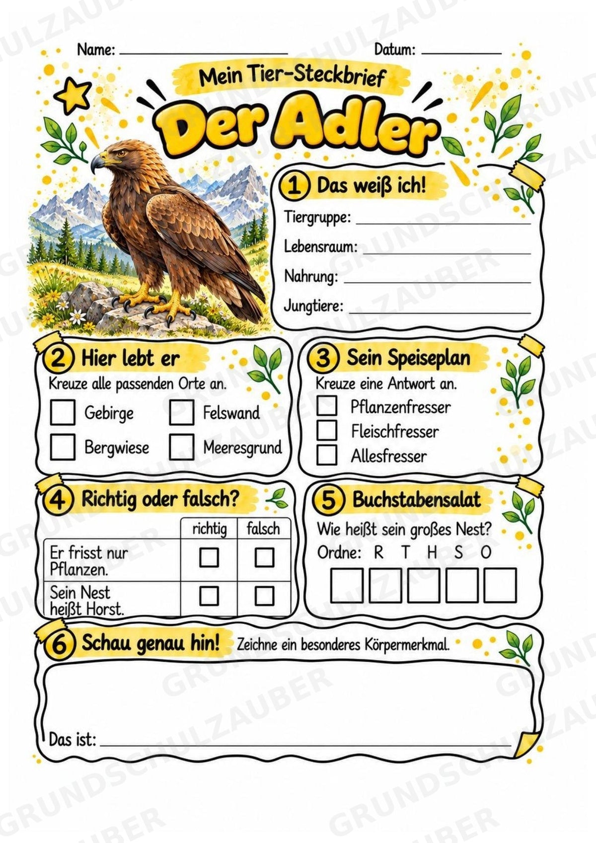 Der Adler – Lesetext & Steckbrief | Sachunterricht Tiere & Vögel Grundschule – Materialseite 3