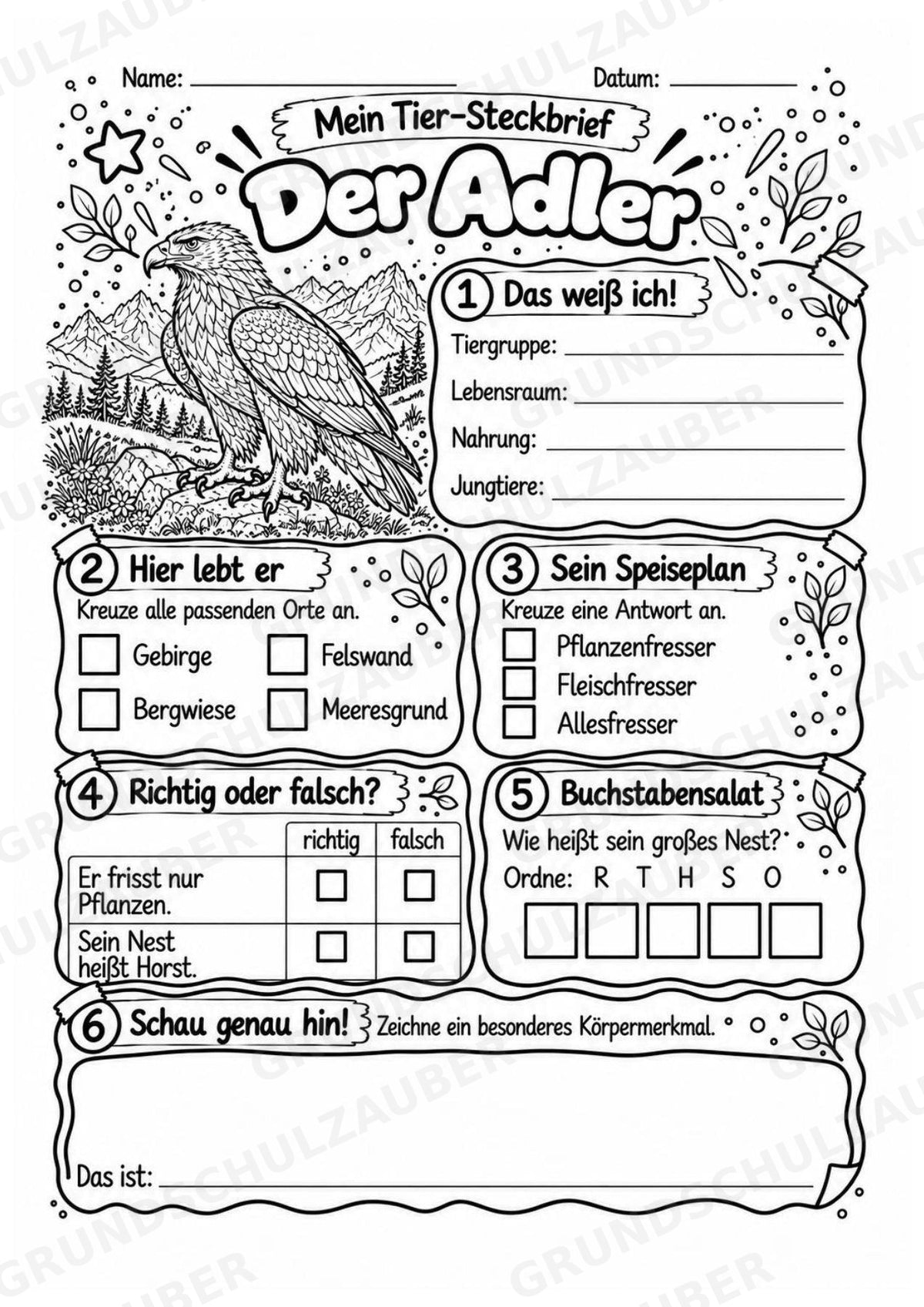 Der Adler – Lesetext & Steckbrief | Sachunterricht Tiere & Vögel Grundschule – Materialseite 4