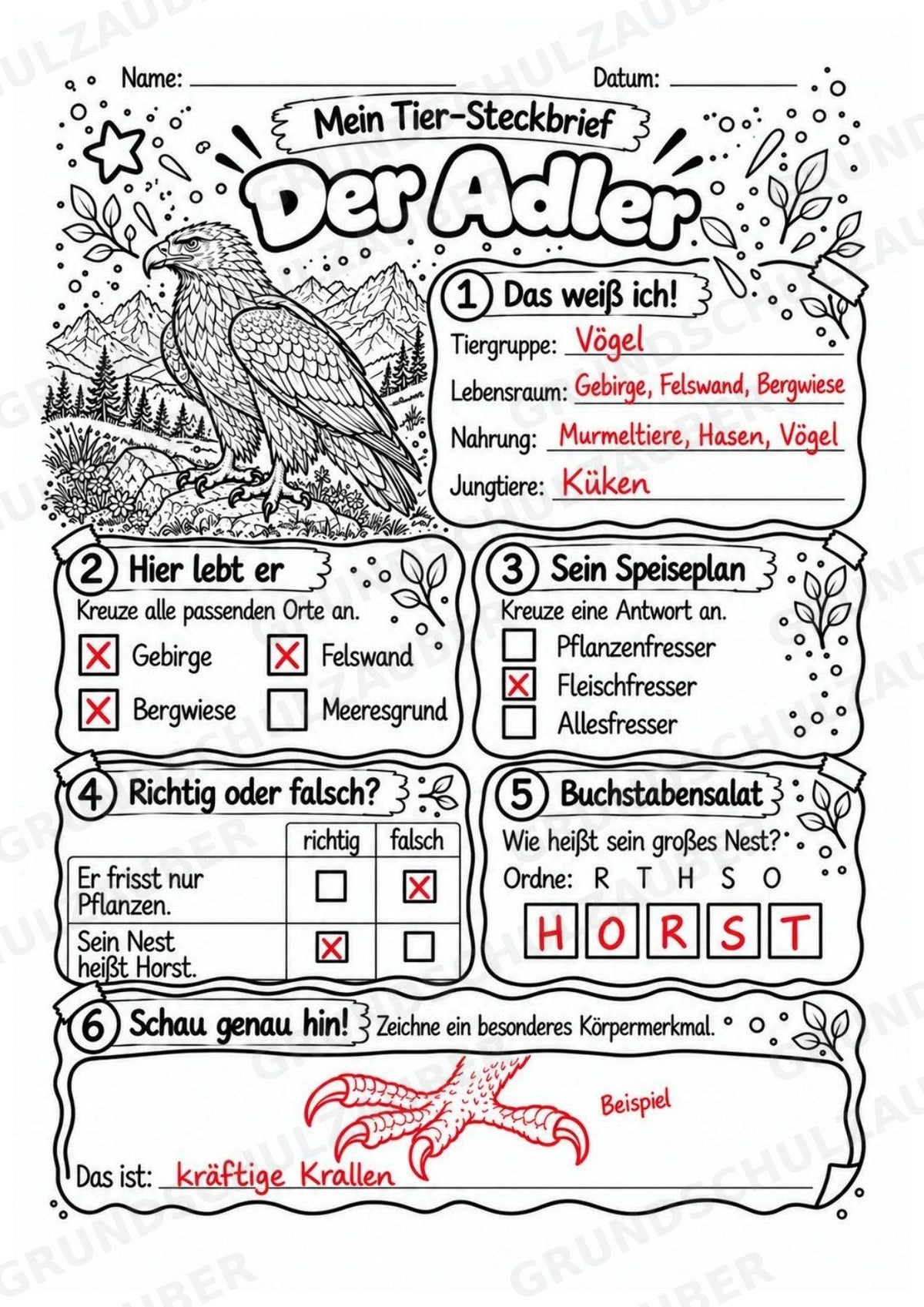 Der Adler – Lesetext & Steckbrief | Sachunterricht Tiere & Vögel Grundschule – Materialseite 5