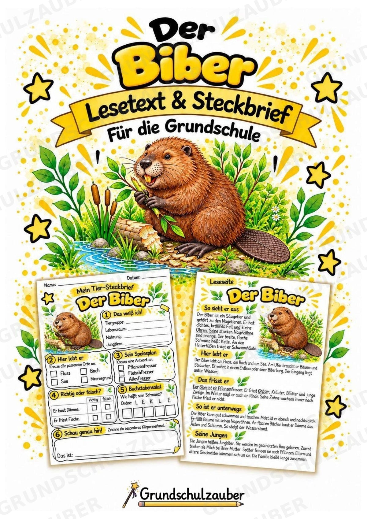 Biber - Lesetext & Steckbrief | Sachunterricht Tiere Grundschule – Cover