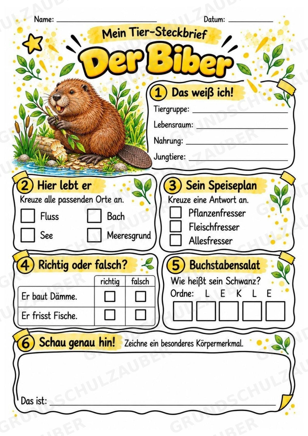 Biber - Lesetext & Steckbrief | Sachunterricht Tiere Grundschule – Materialseite 3