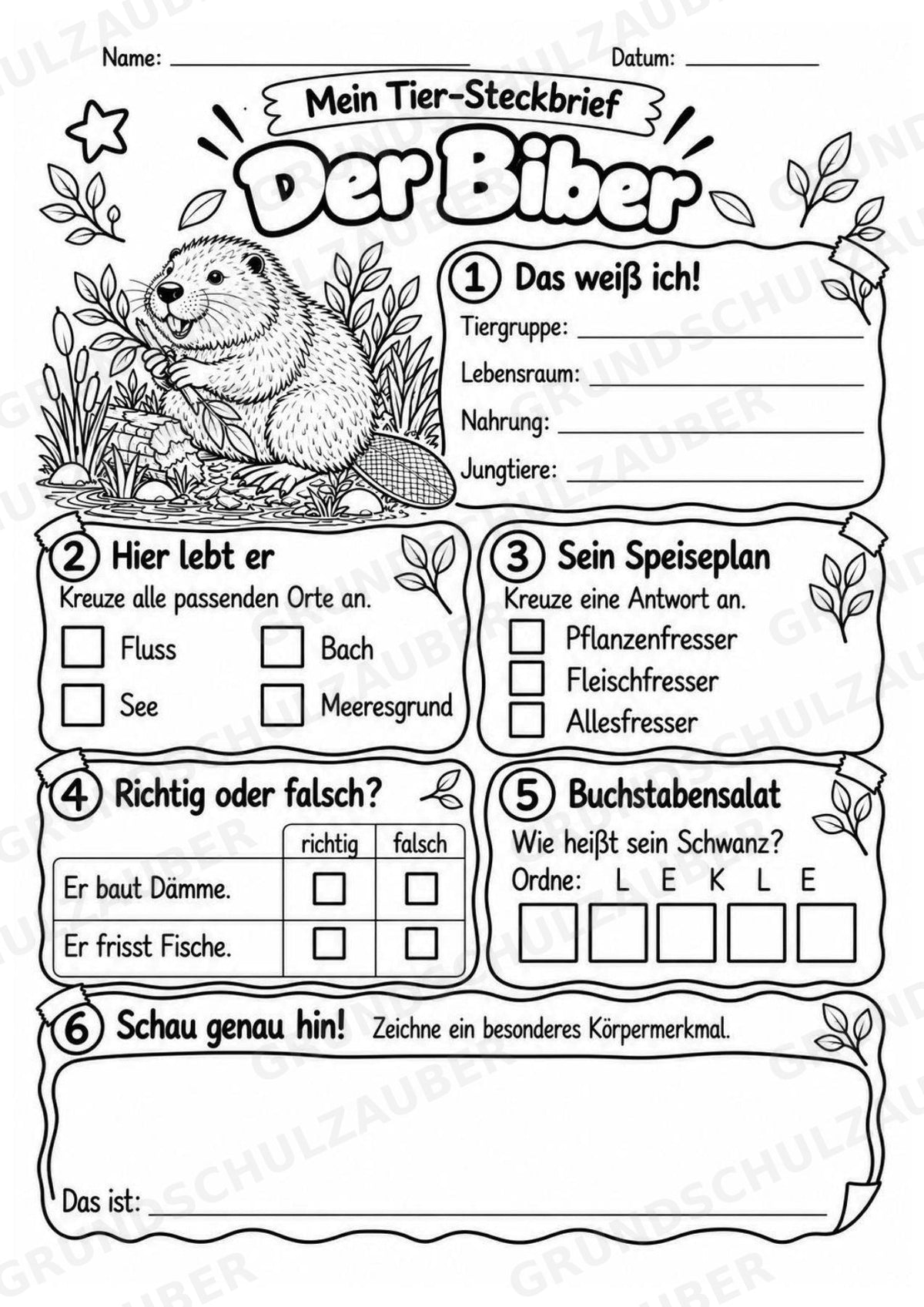 Biber - Lesetext & Steckbrief | Sachunterricht Tiere Grundschule – Materialseite 4