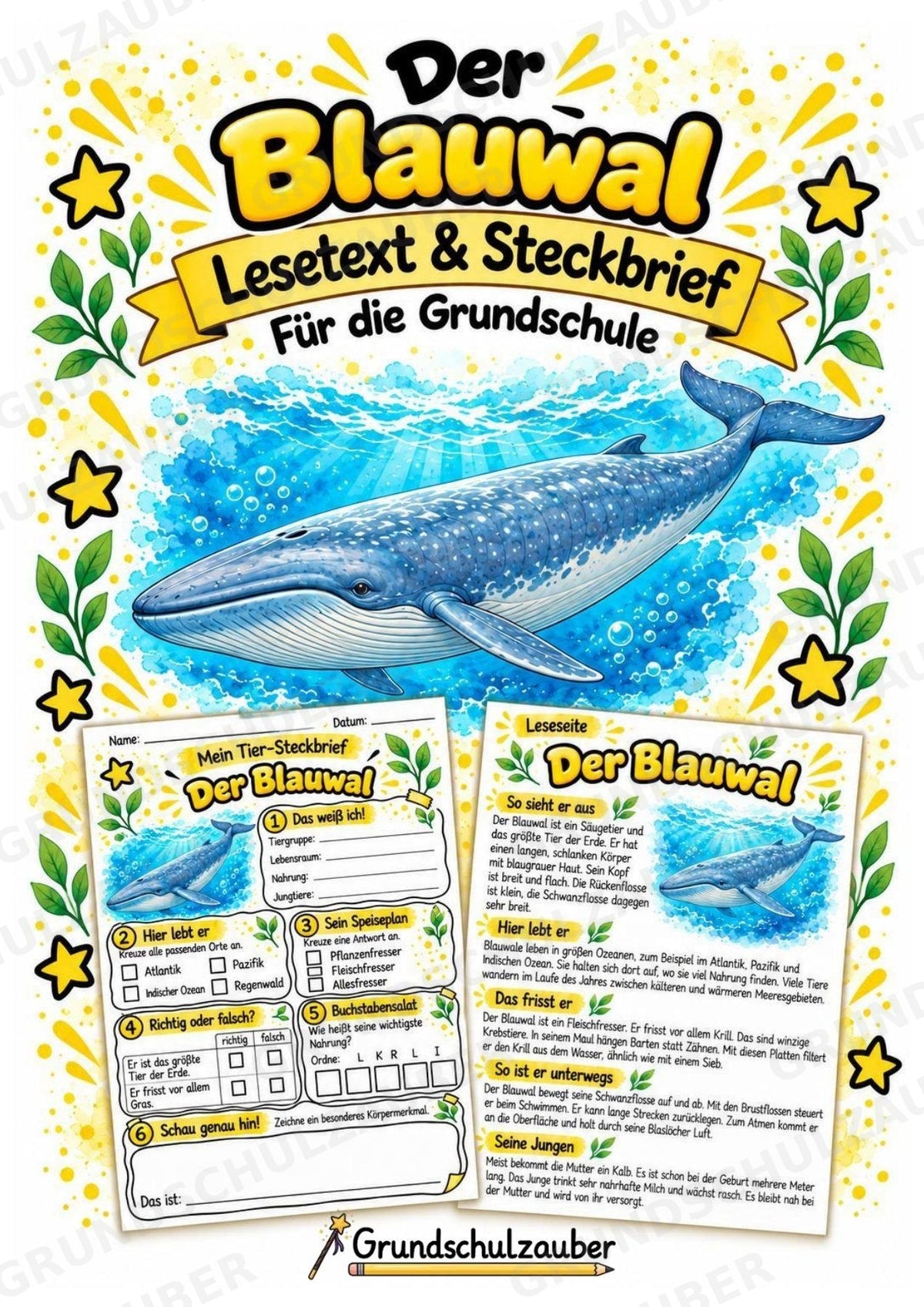 Blauwal - Lesetext & Steckbrief | Sachunterricht Tiere Grundschule – Cover