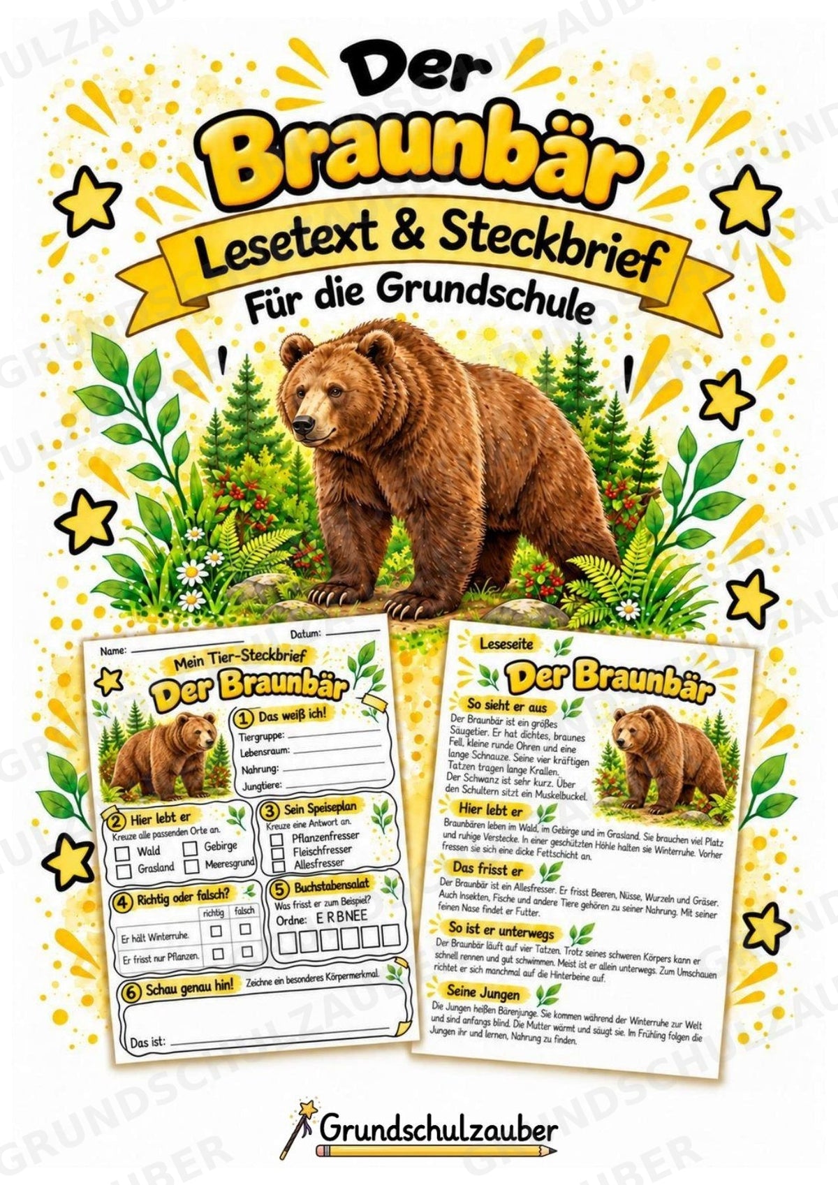 Braunbär - Lesetext & Steckbrief | Sachunterricht Tiere Grundschule – Cover