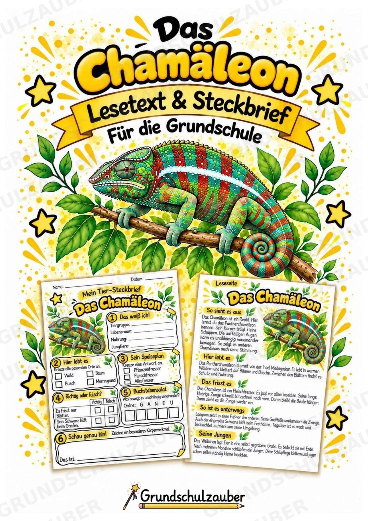 Chamäleon - Lesetext & Steckbrief | Sachunterricht Tiere Grundschule – Cover