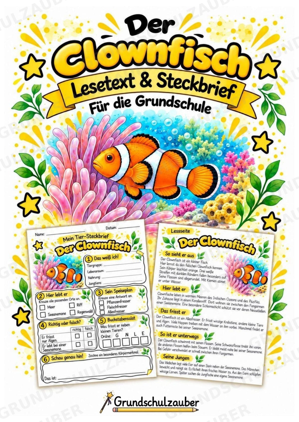 Clownfisch - Lesetext & Steckbrief | Sachunterricht Tiere Grundschule – Cover