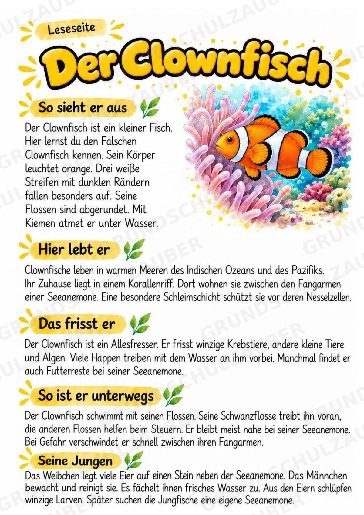 Clownfisch - Lesetext & Steckbrief | Sachunterricht Tiere Grundschule – Materialseite 2