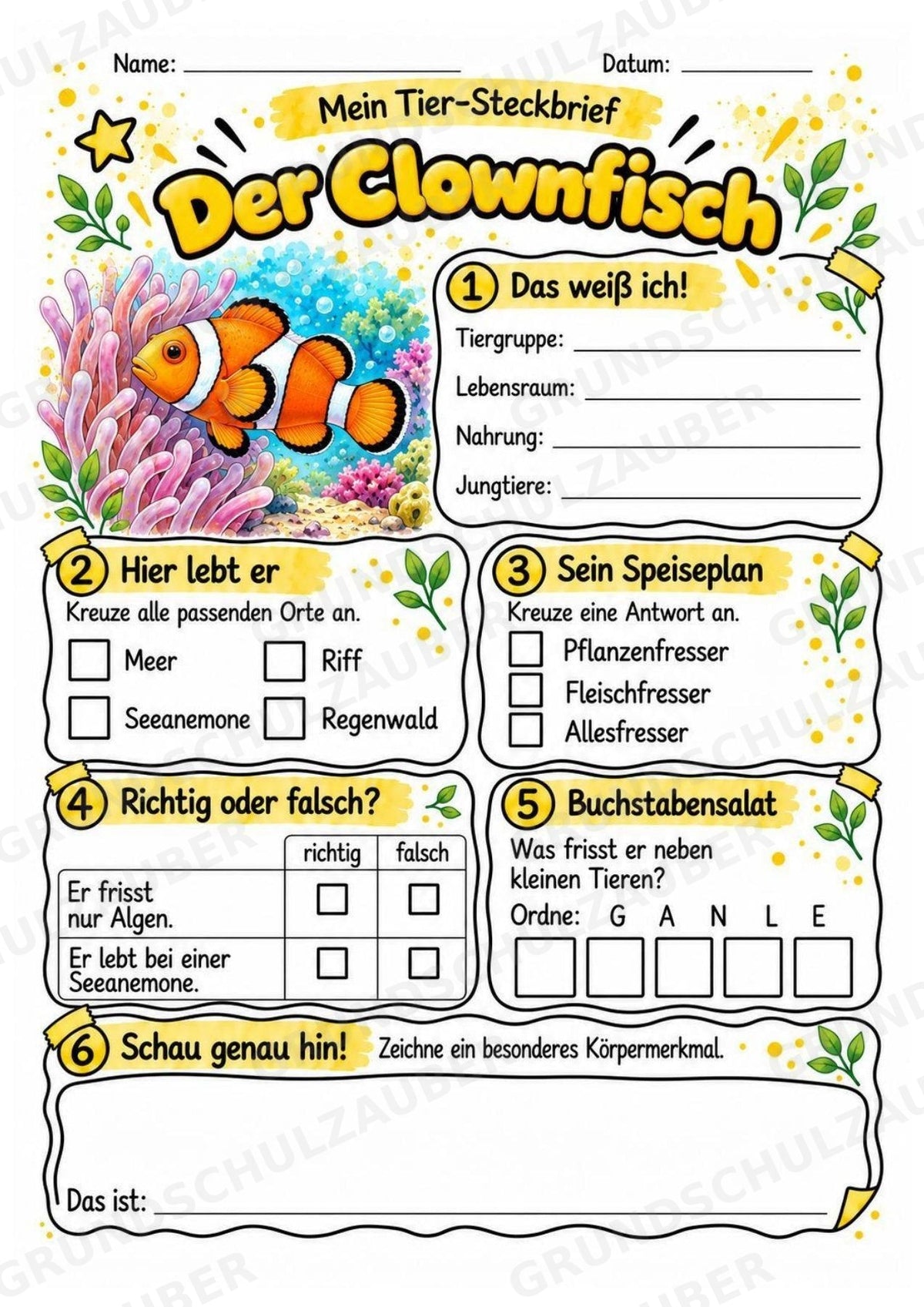 Clownfisch - Lesetext & Steckbrief | Sachunterricht Tiere Grundschule – Materialseite 3