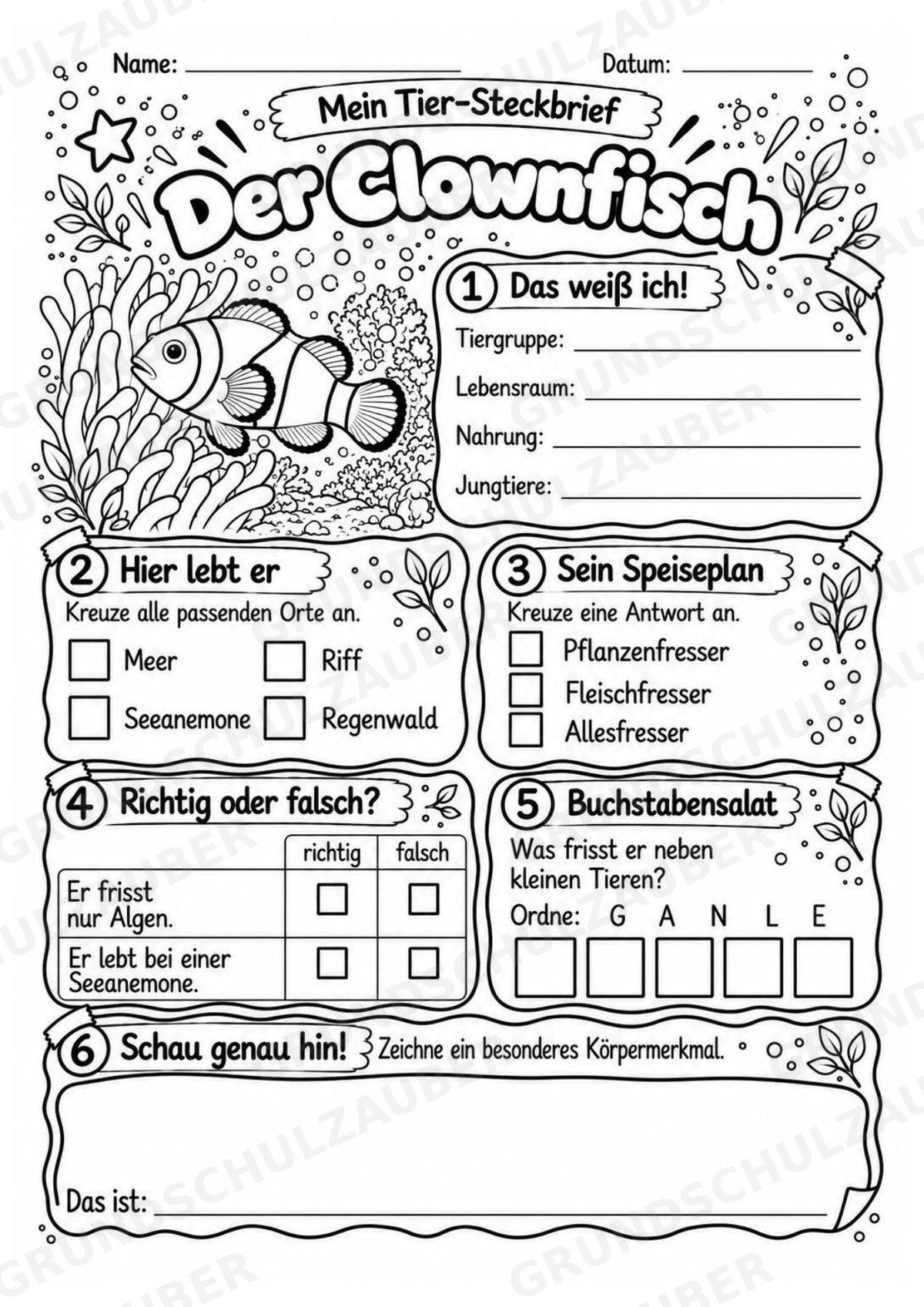 Clownfisch - Lesetext & Steckbrief | Sachunterricht Tiere Grundschule – Materialseite 4