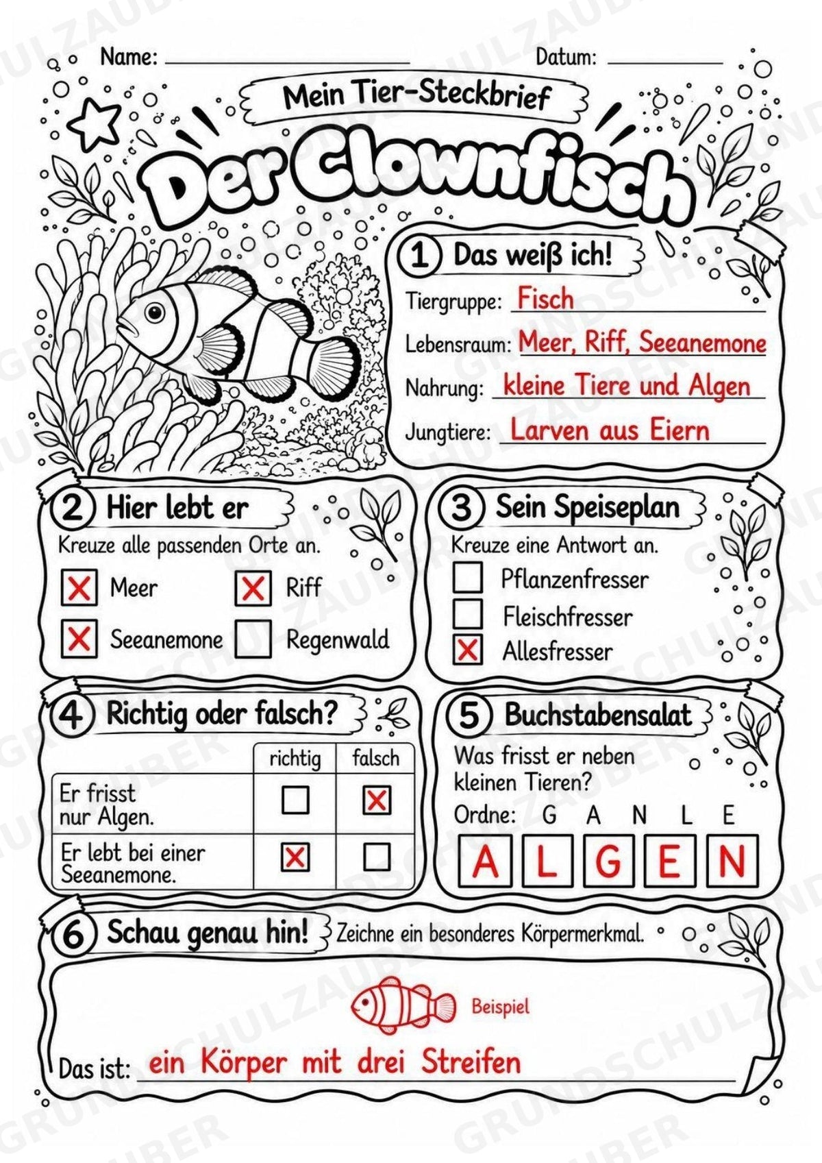 Clownfisch - Lesetext & Steckbrief | Sachunterricht Tiere Grundschule – Materialseite 5