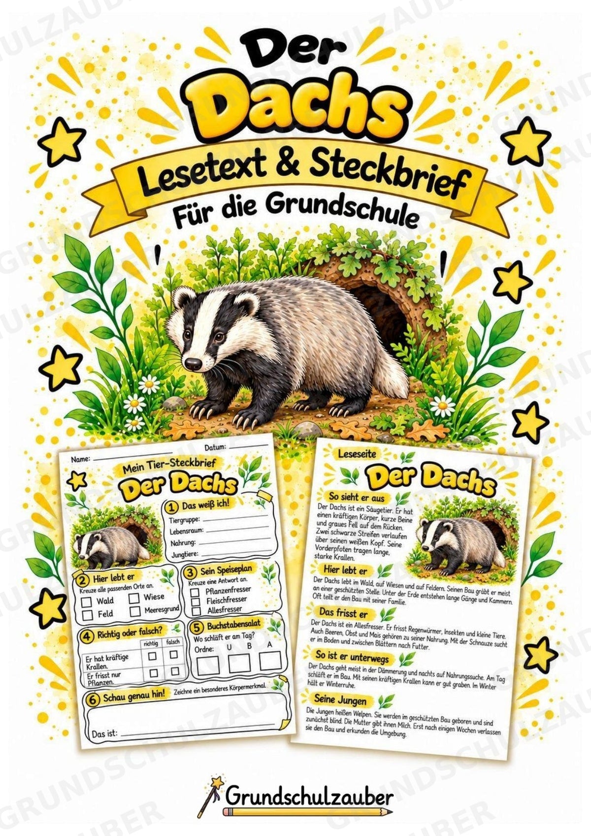 Dachs - Lesetext & Steckbrief | Sachunterricht Tiere Grundschule – Cover