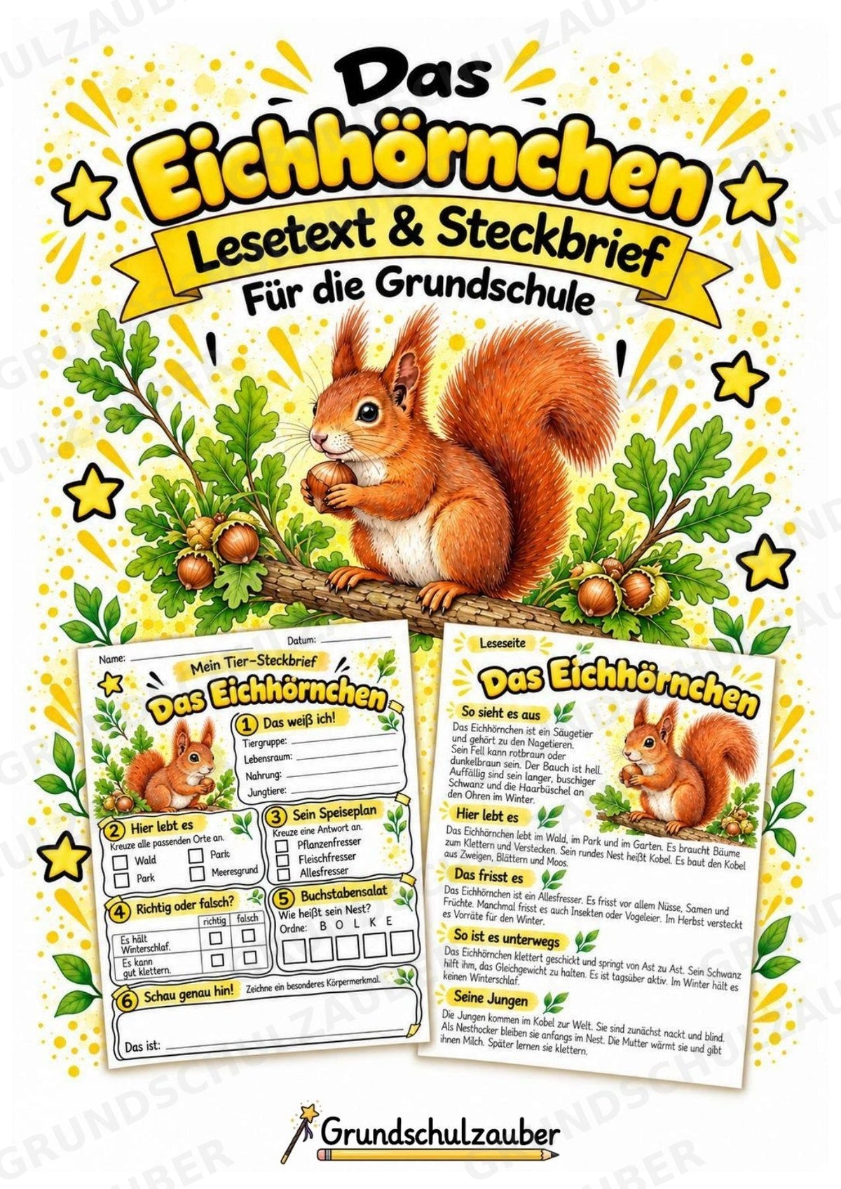 Eichhörnchen - Lesetext & Steckbrief | Sachunterricht Tiere Grundschule – Cover