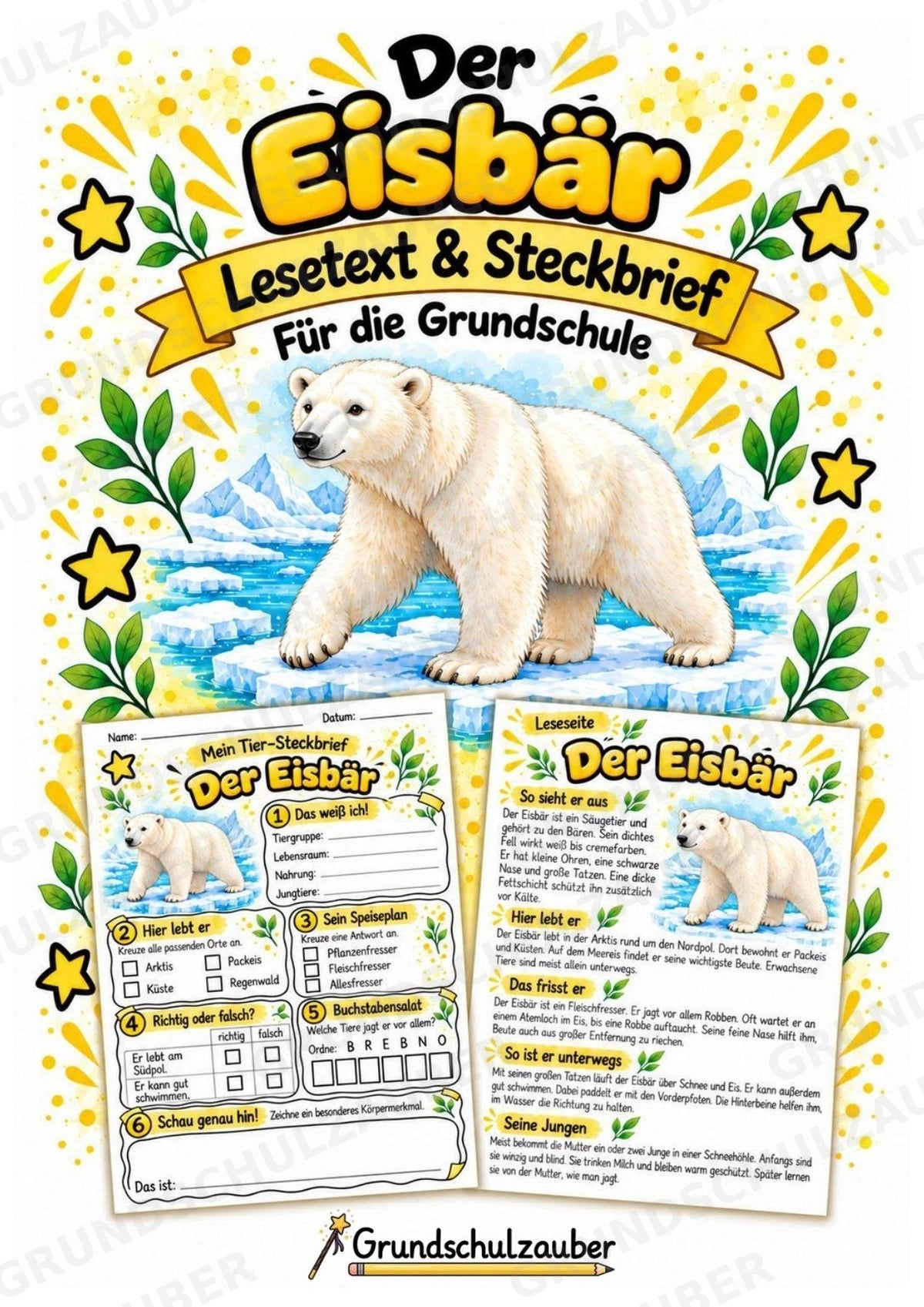 Eisbaer - Lesetext & Steckbrief | Sachunterricht Tiere Grundschule – Cover