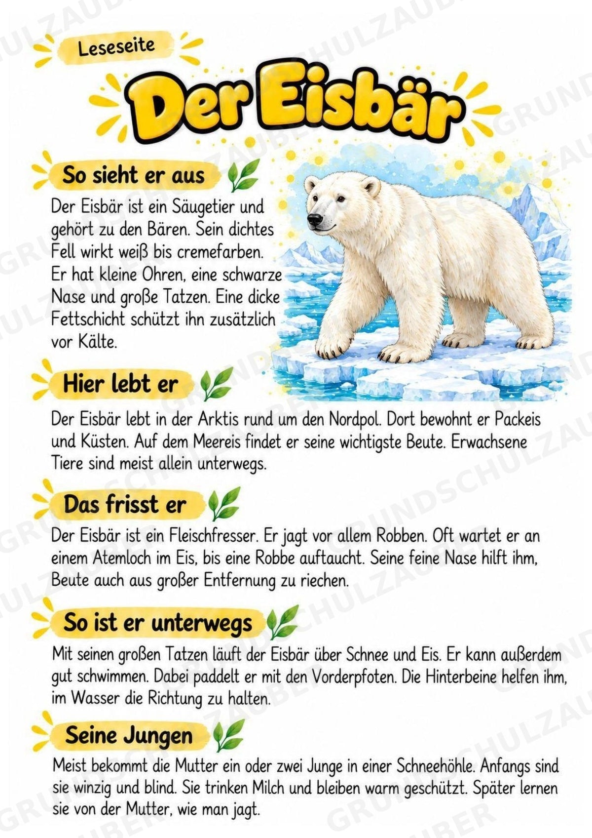 Eisbaer - Lesetext & Steckbrief | Sachunterricht Tiere Grundschule – Materialseite 2
