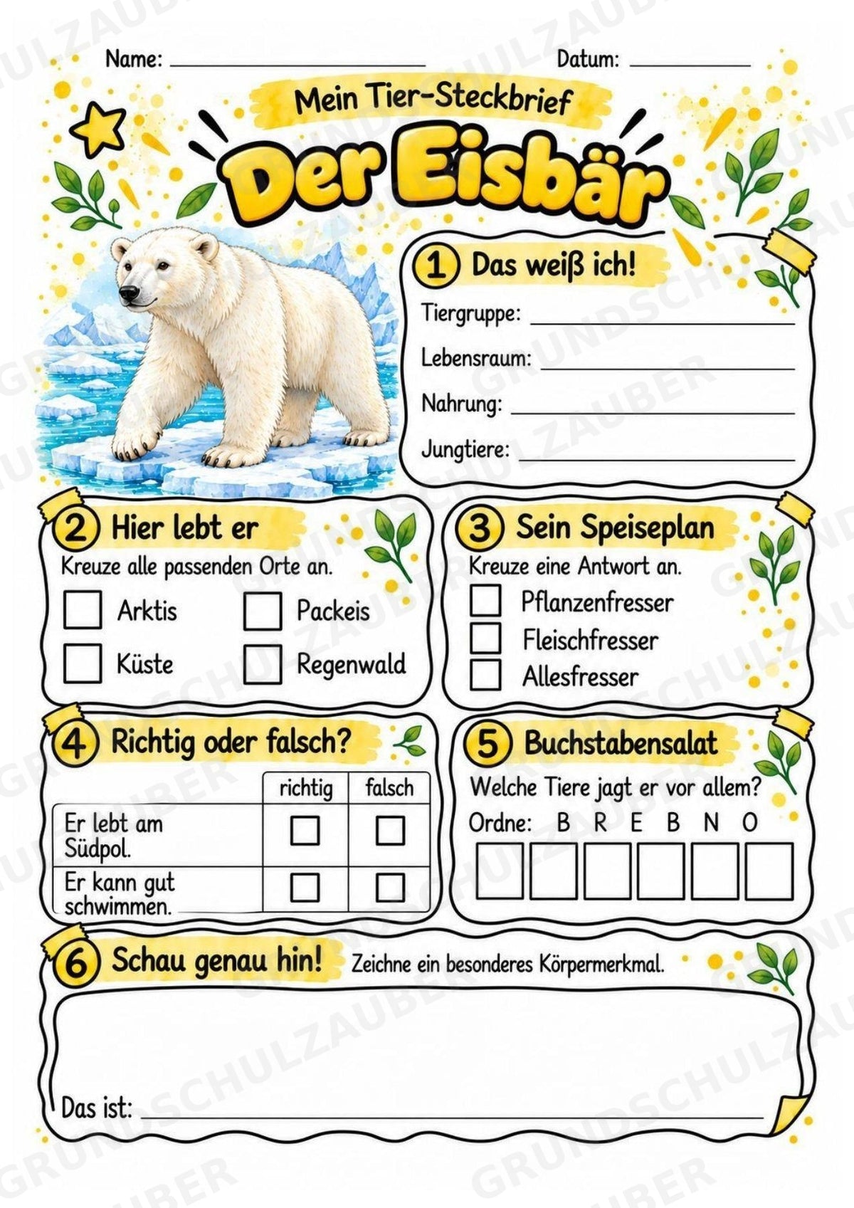 Eisbaer - Lesetext & Steckbrief | Sachunterricht Tiere Grundschule – Materialseite 3