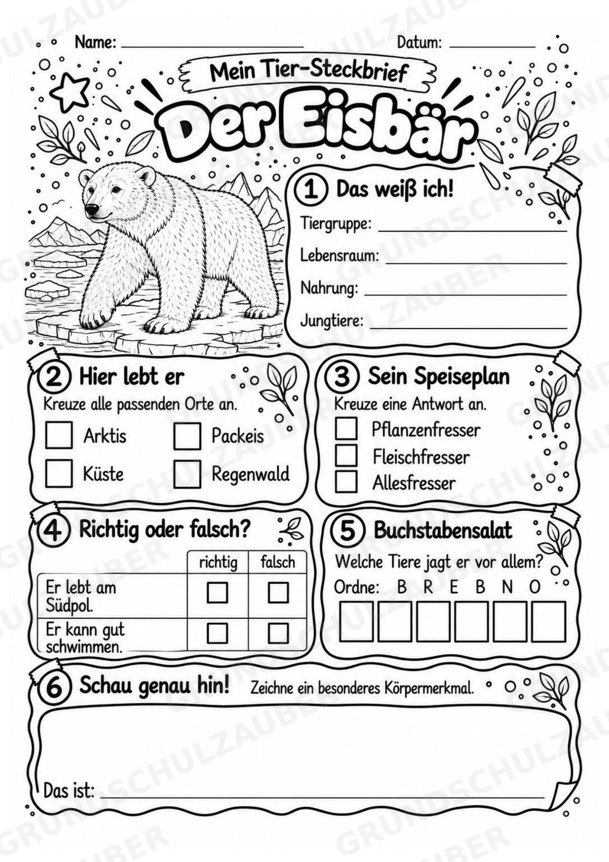 Eisbaer - Lesetext & Steckbrief | Sachunterricht Tiere Grundschule – Materialseite 4
