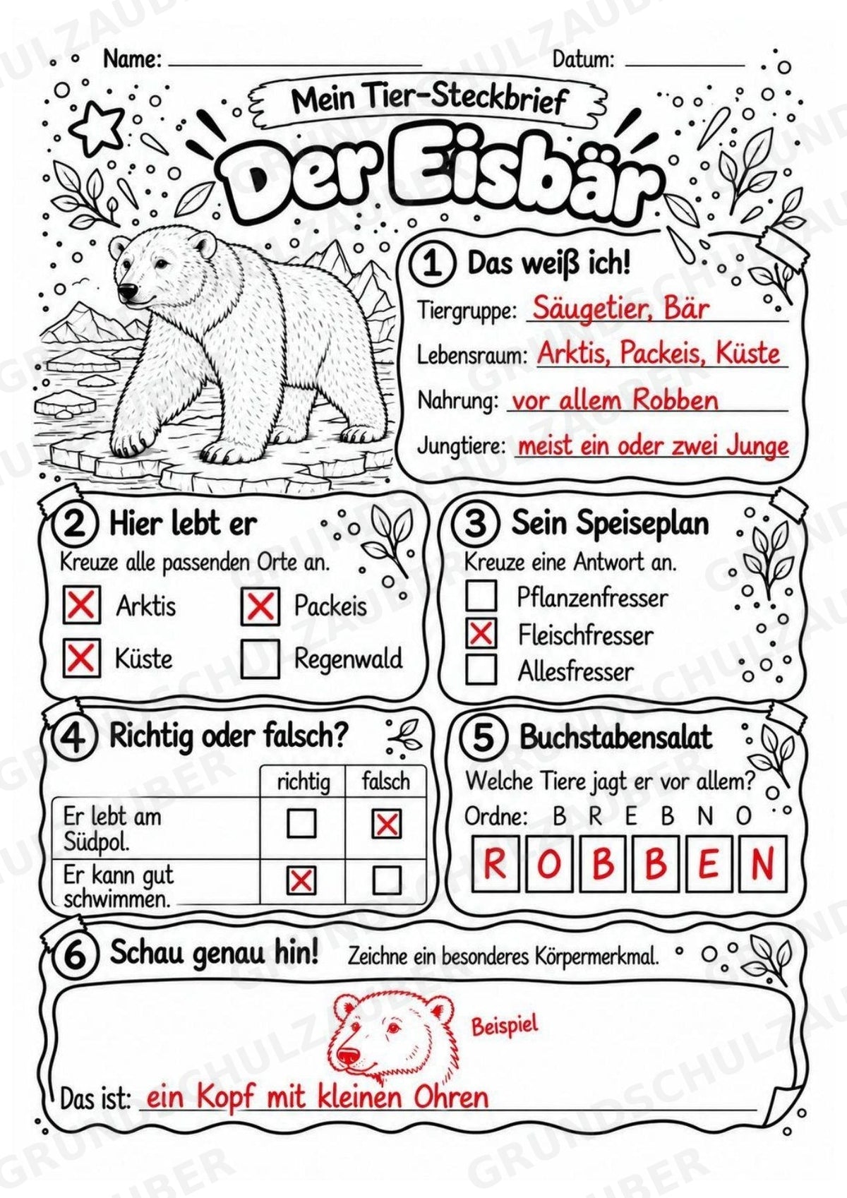 Eisbaer - Lesetext & Steckbrief | Sachunterricht Tiere Grundschule – Materialseite 5