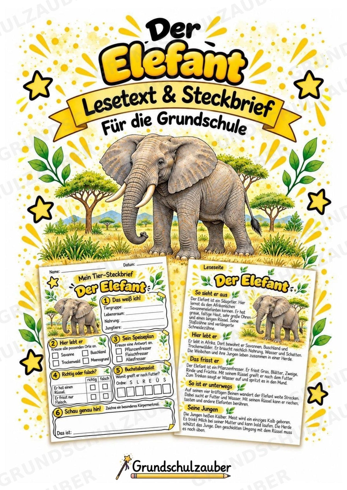 Elefant - Lesetext & Steckbrief | Sachunterricht Tiere Grundschule – Cover