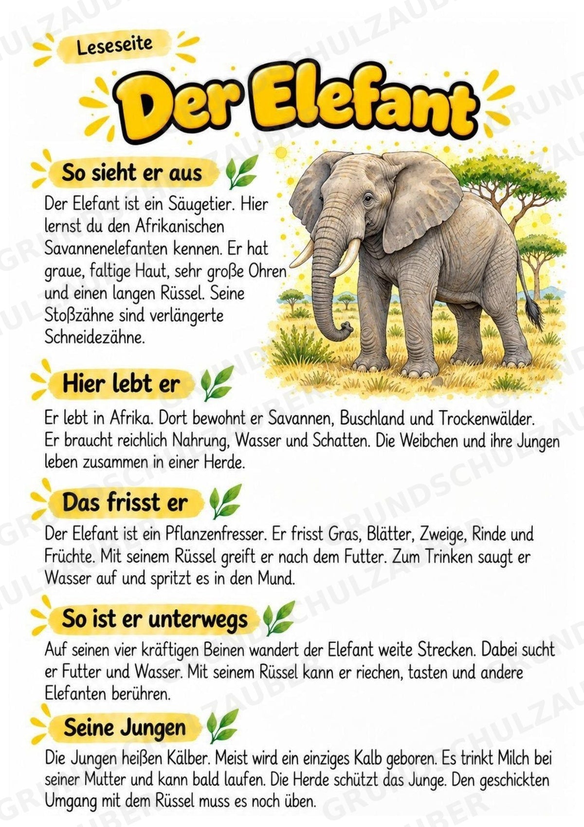 Elefant - Lesetext & Steckbrief | Sachunterricht Tiere Grundschule – Materialseite 2