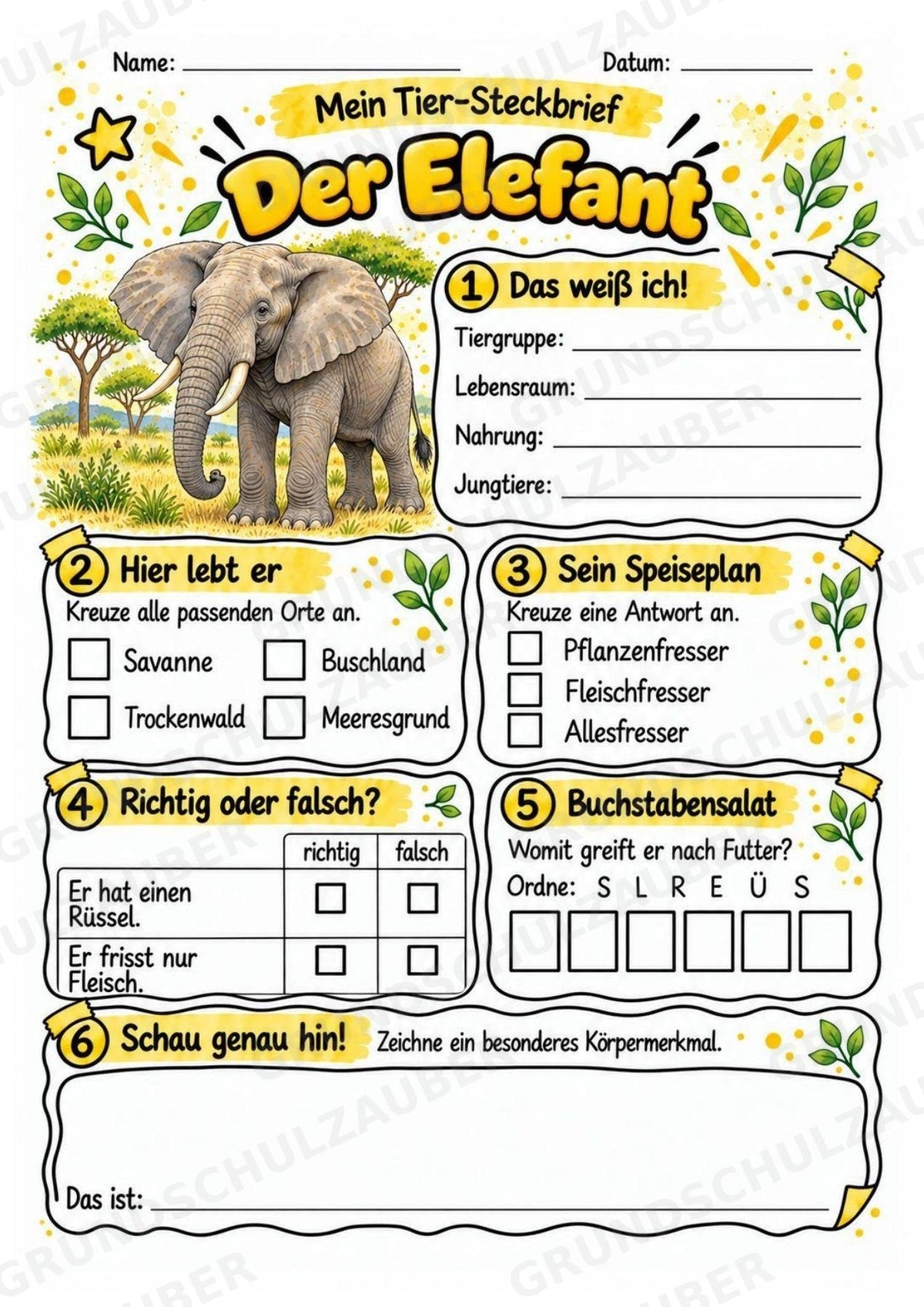 Elefant - Lesetext & Steckbrief | Sachunterricht Tiere Grundschule – Materialseite 3