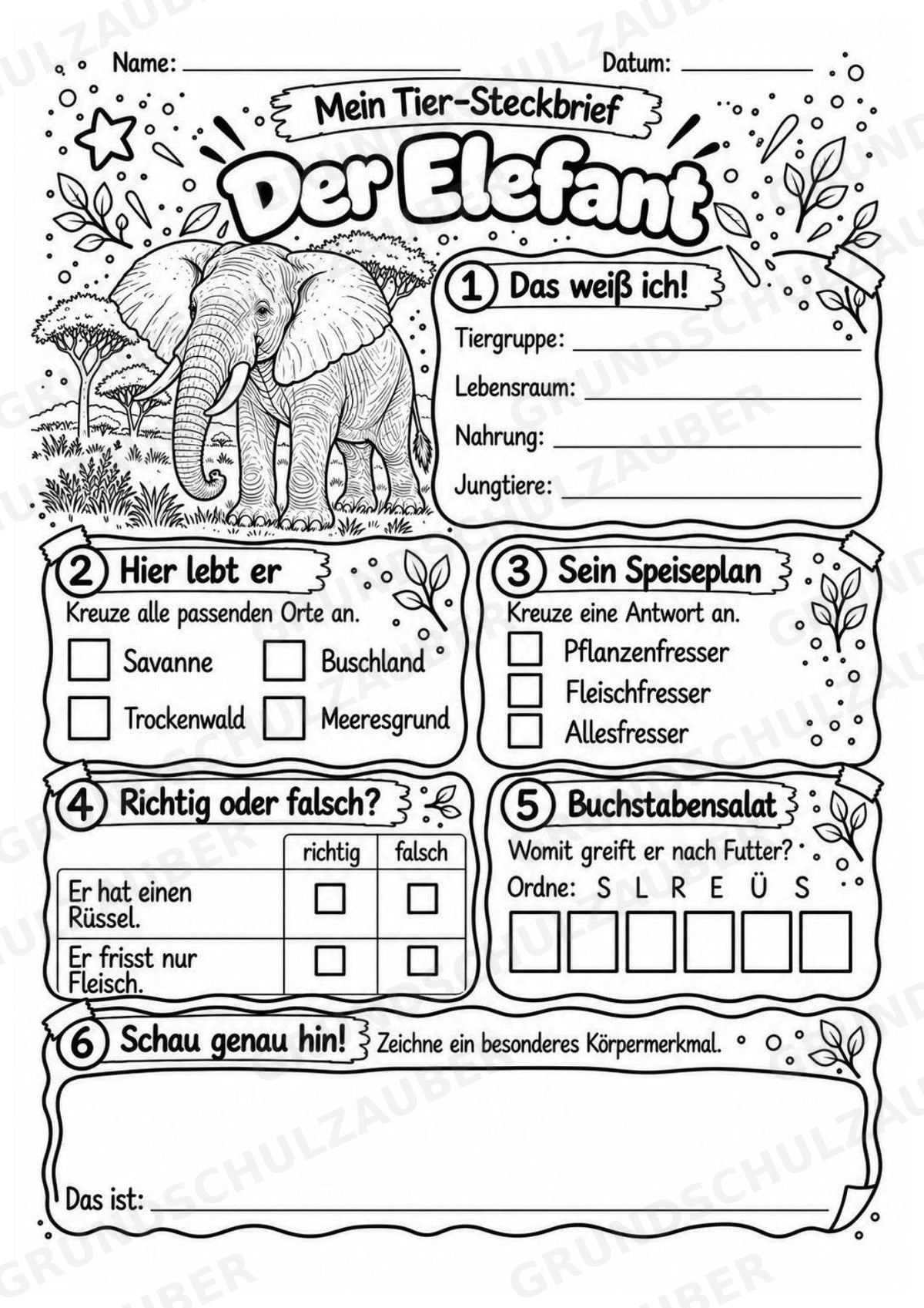Elefant - Lesetext & Steckbrief | Sachunterricht Tiere Grundschule – Materialseite 4