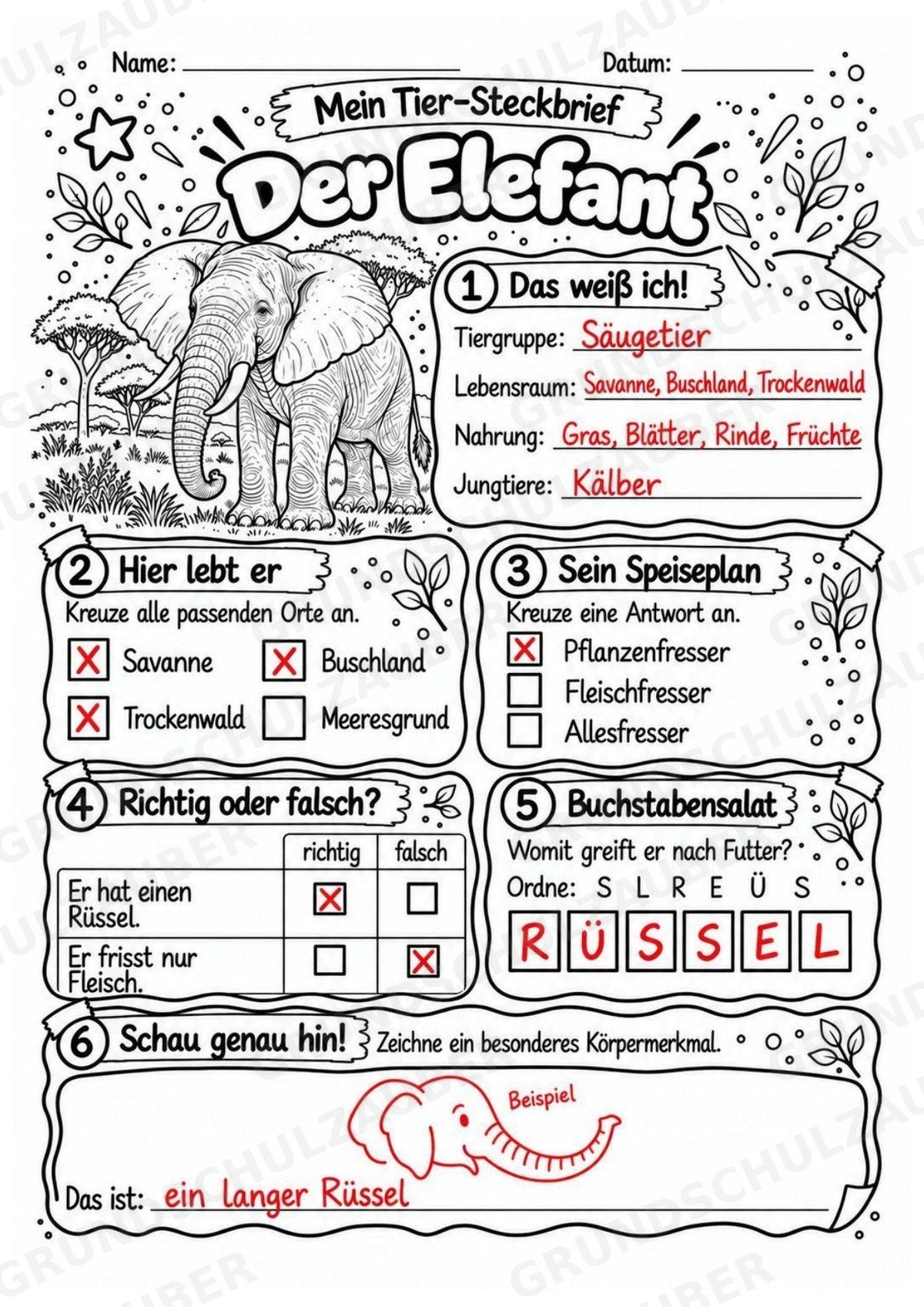 Elefant - Lesetext & Steckbrief | Sachunterricht Tiere Grundschule – Materialseite 5