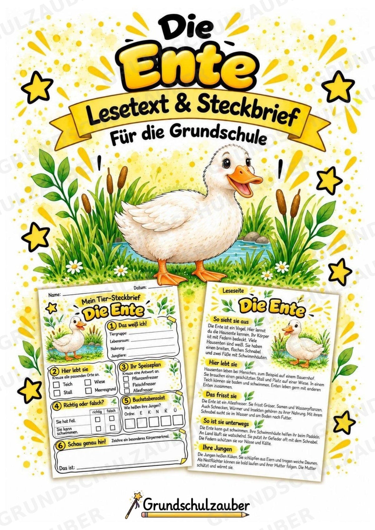 Ente - Lesetext & Steckbrief | Sachunterricht Tiere Grundschule – Cover