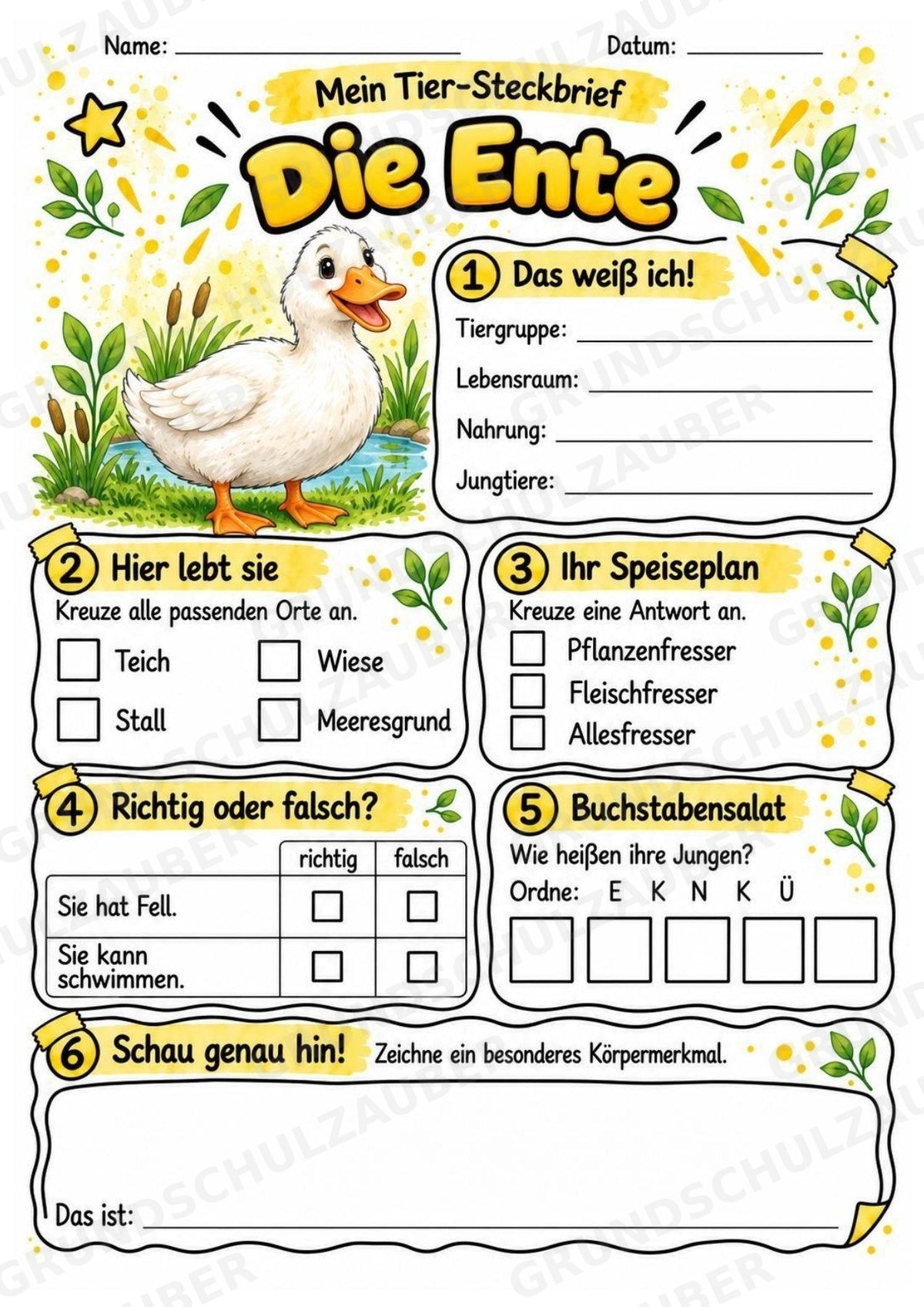 Ente - Lesetext & Steckbrief | Sachunterricht Tiere Grundschule – Materialseite 3