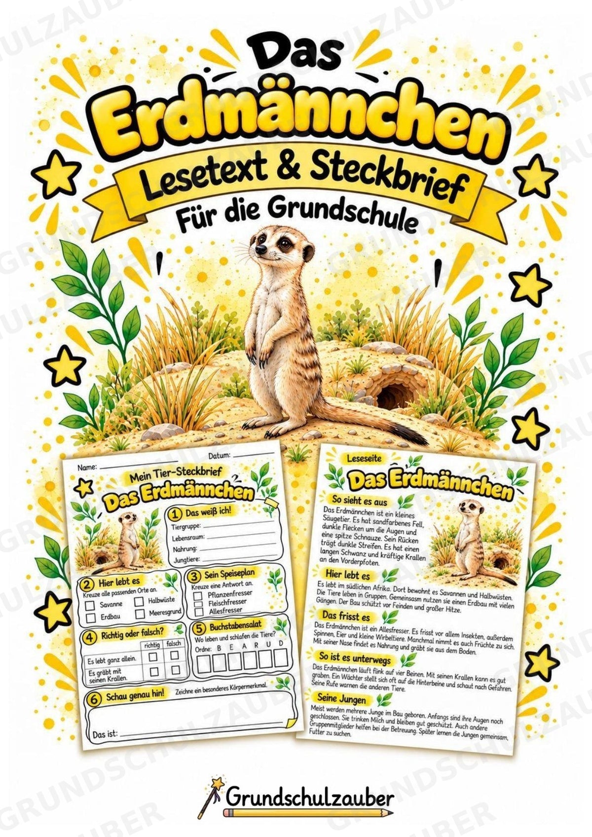 Erdmaennchen - Lesetext & Steckbrief | Sachunterricht Tiere Grundschule – Cover