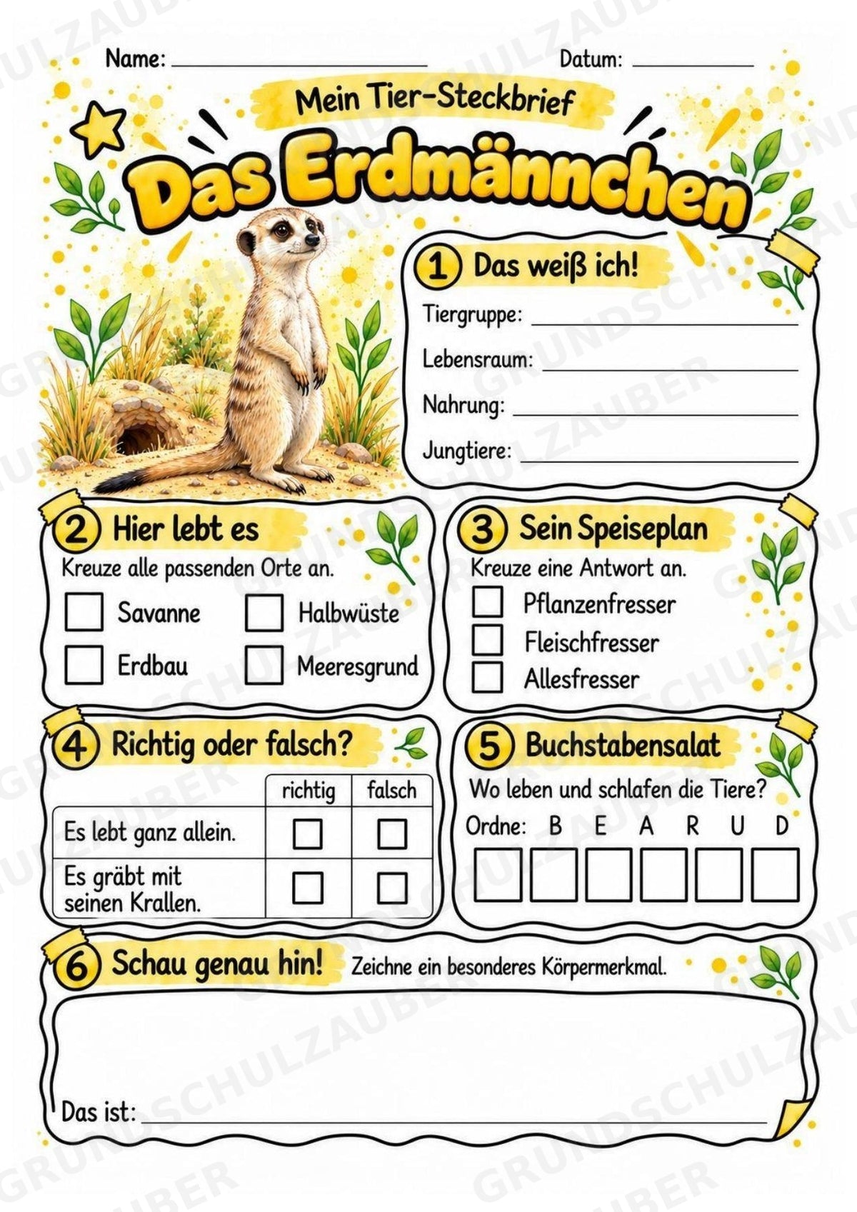 Erdmaennchen - Lesetext & Steckbrief | Sachunterricht Tiere Grundschule – Materialseite 3