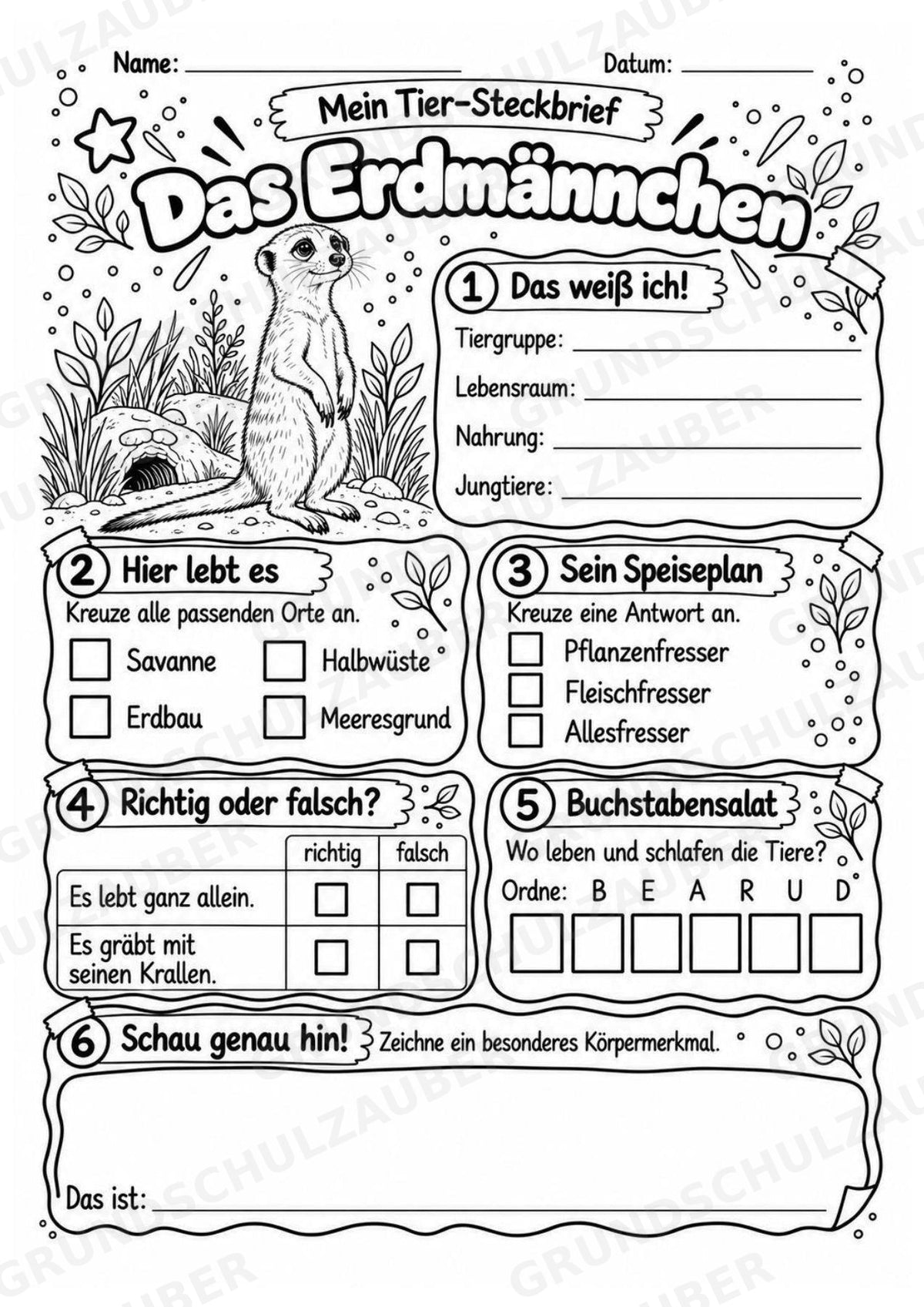 Erdmaennchen - Lesetext & Steckbrief | Sachunterricht Tiere Grundschule – Materialseite 4