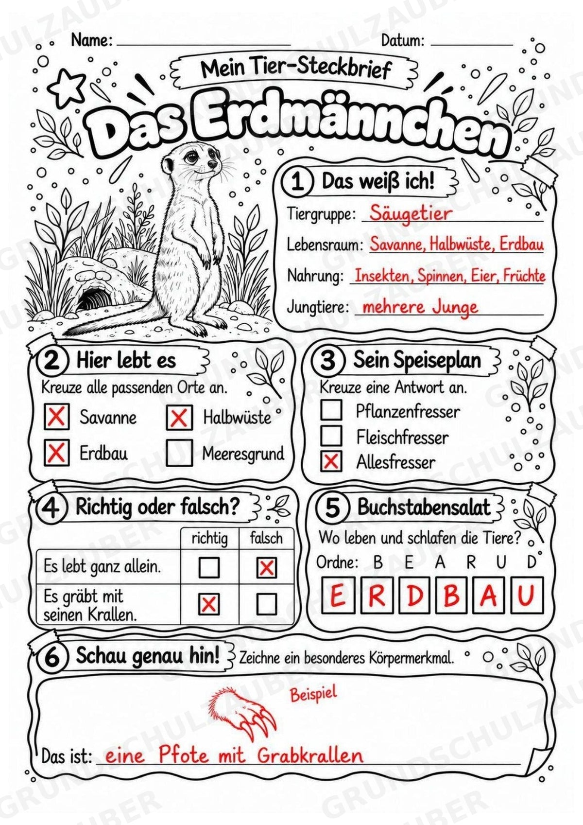 Erdmaennchen - Lesetext & Steckbrief | Sachunterricht Tiere Grundschule – Materialseite 5