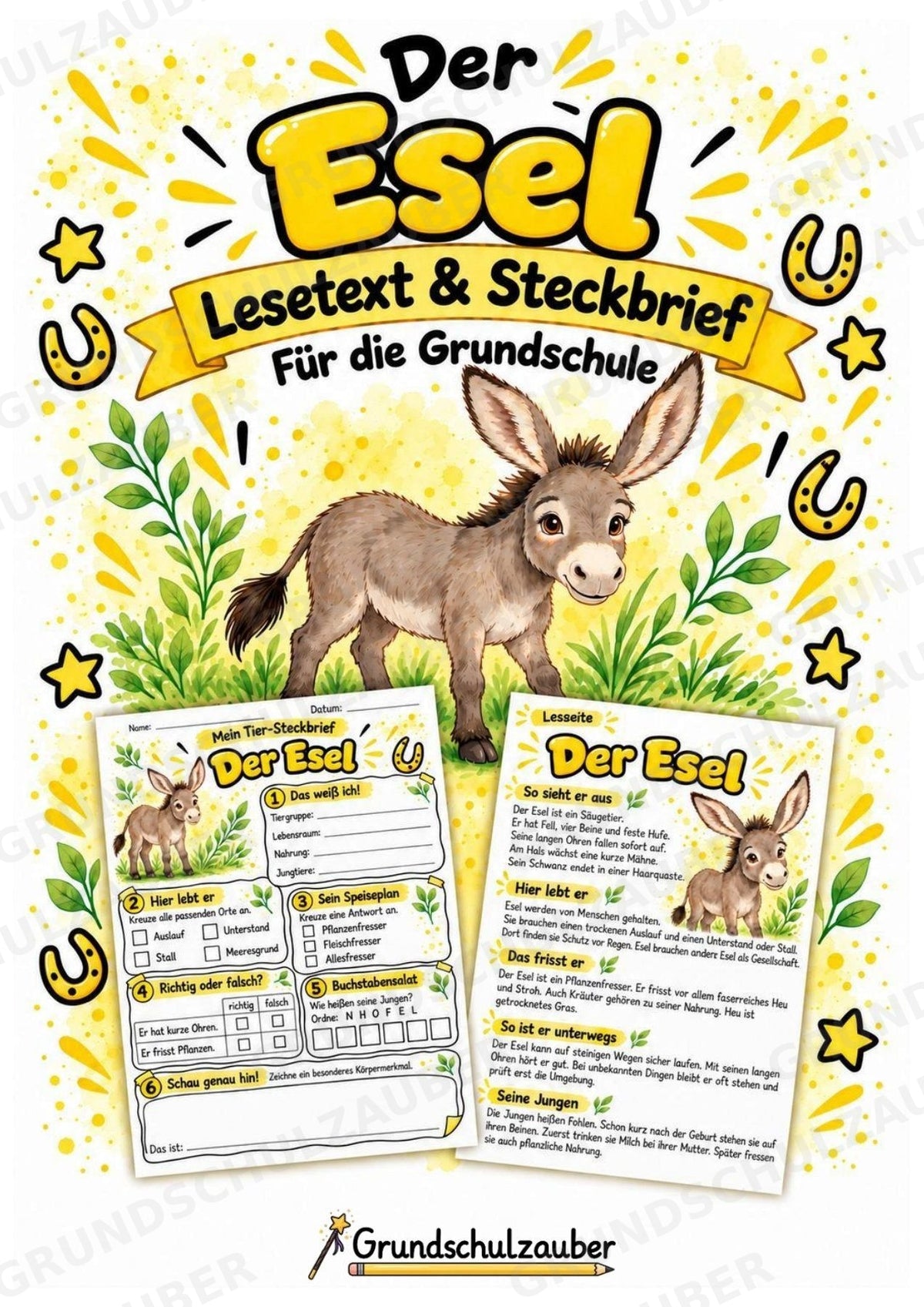 Esel - Lesetext & Steckbrief | Sachunterricht Tiere Grundschule – Cover