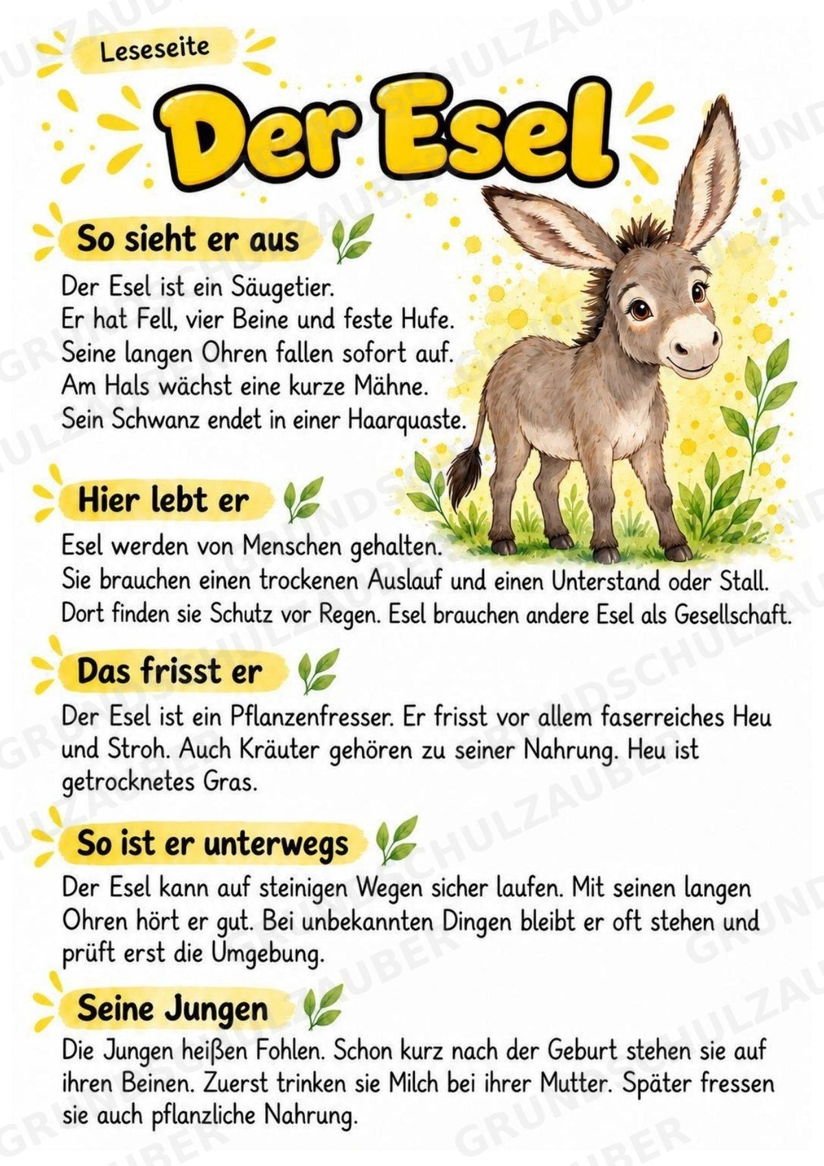 Esel - Lesetext & Steckbrief | Sachunterricht Tiere Grundschule – Materialseite 2