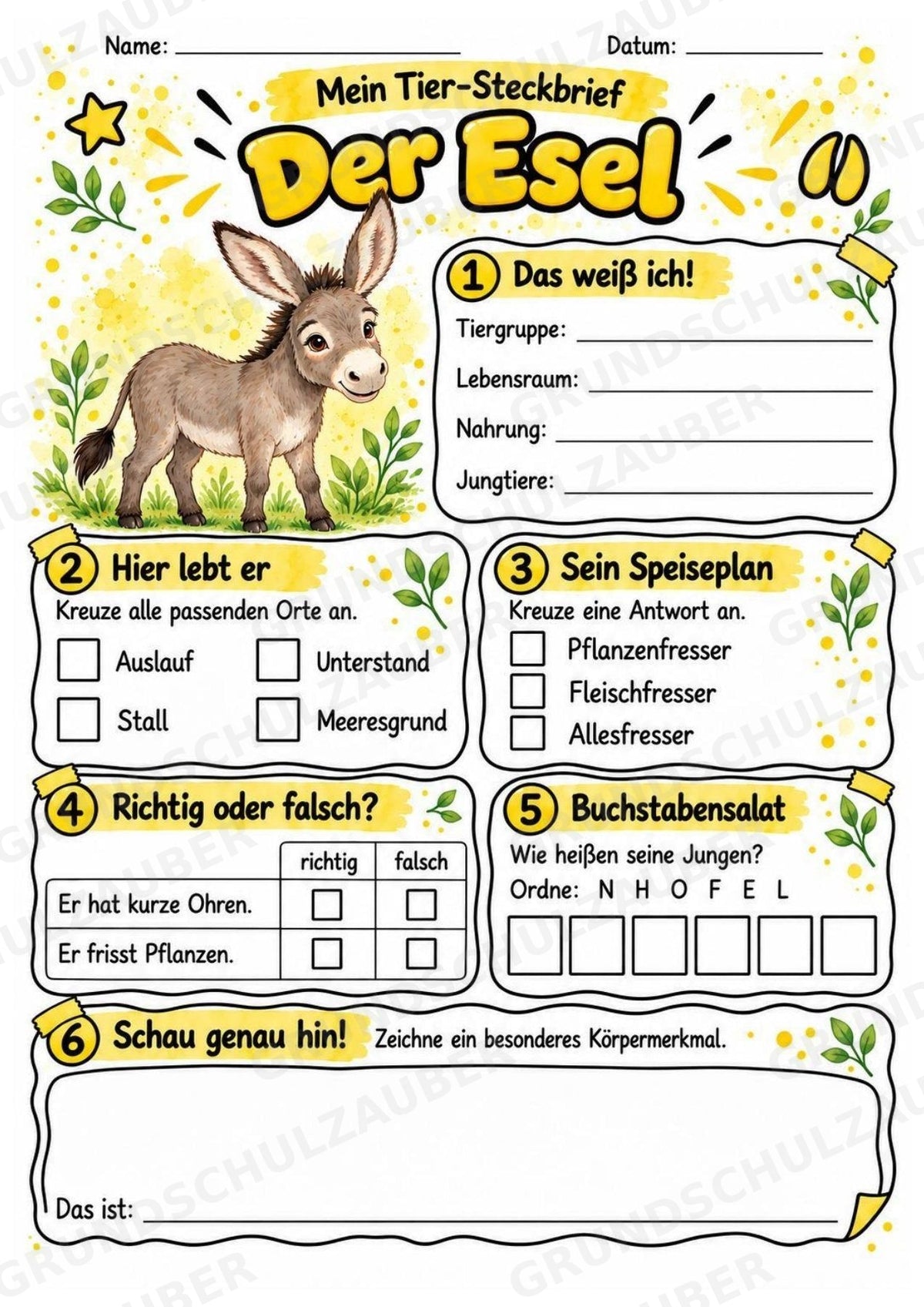 Esel - Lesetext & Steckbrief | Sachunterricht Tiere Grundschule – Materialseite 3