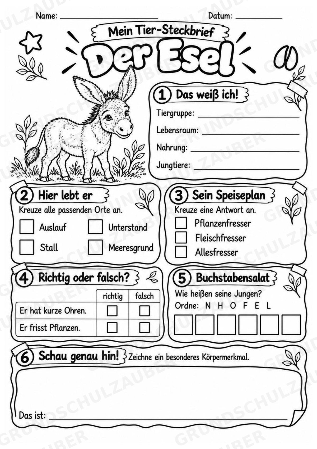 Esel - Lesetext & Steckbrief | Sachunterricht Tiere Grundschule – Materialseite 4